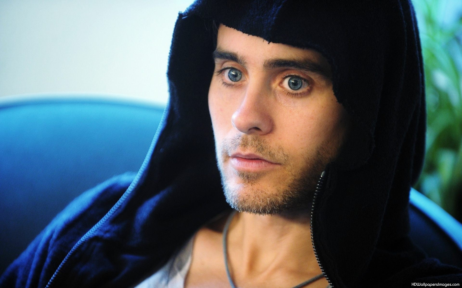 Jared Leto American Celebrity wallpapers with high resolution