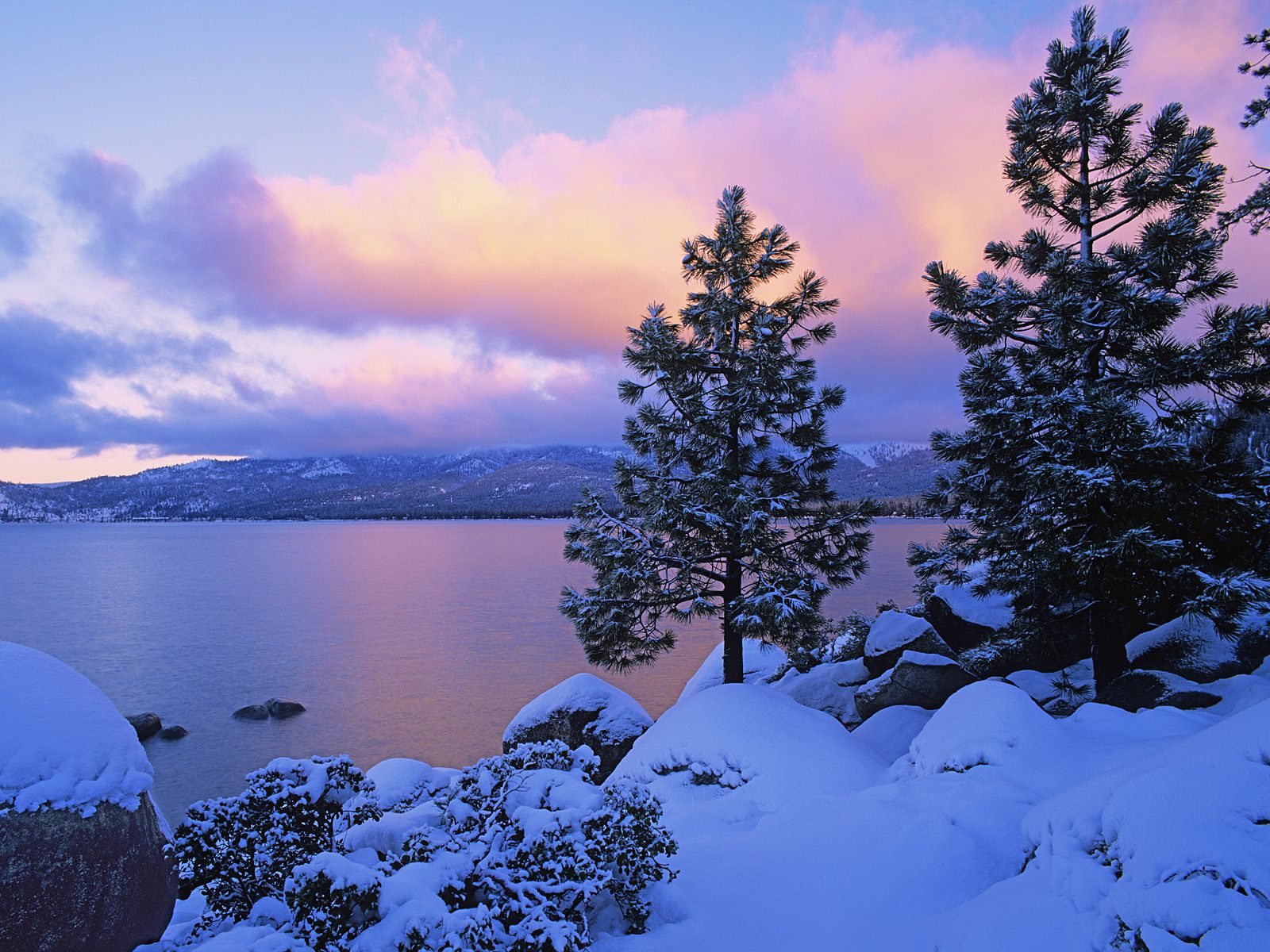 Tahoe Winter Picture