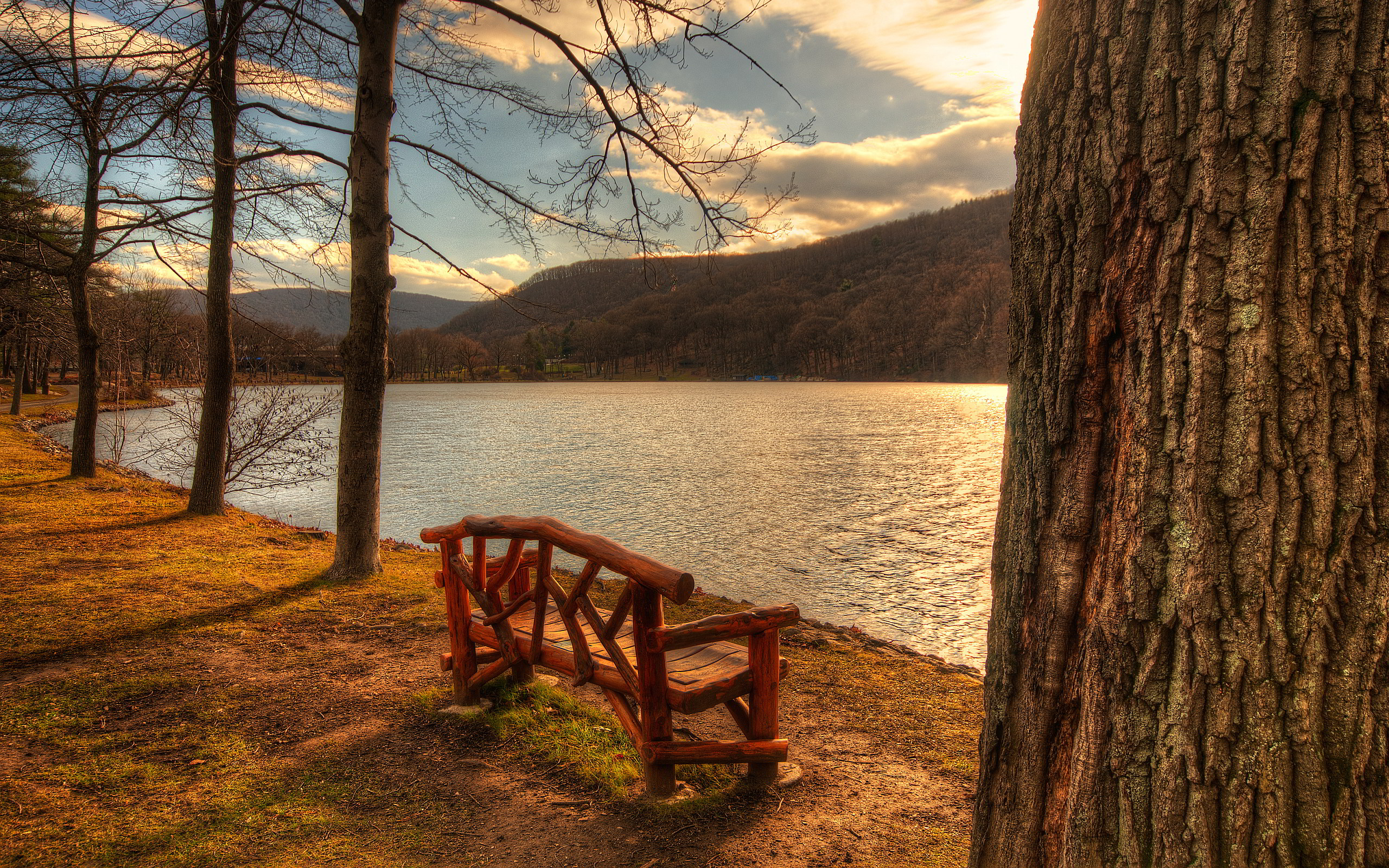 Lakeside park bench