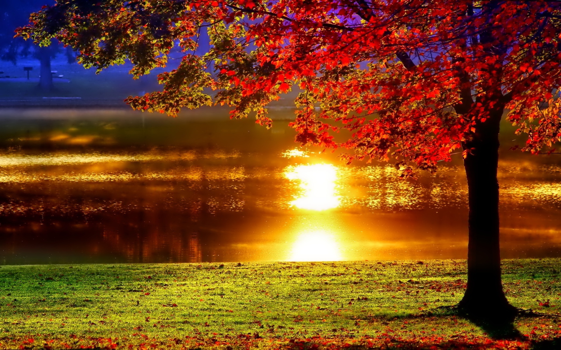 Lakeside sunset reflection