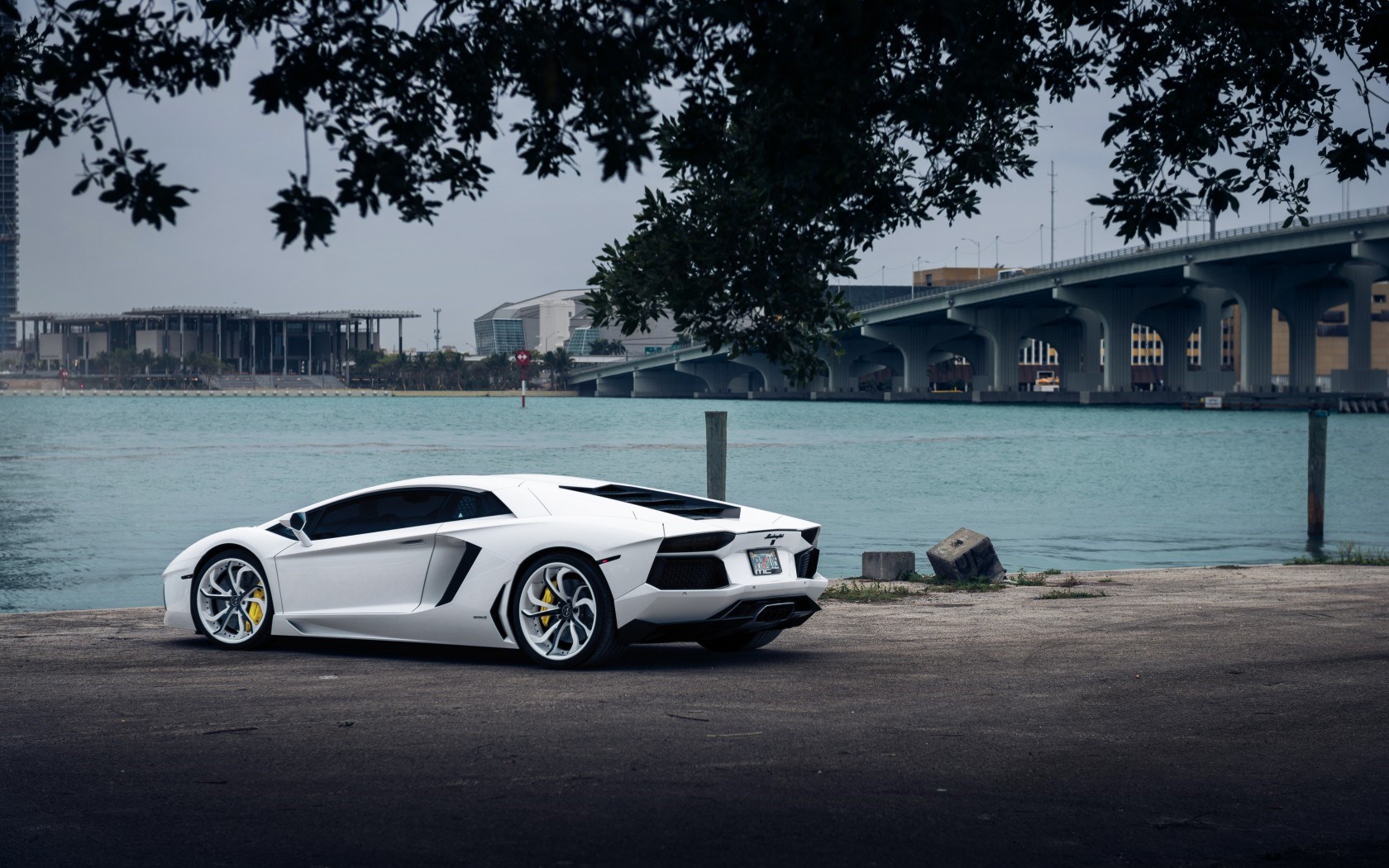 Lamborghini White Car Tuning