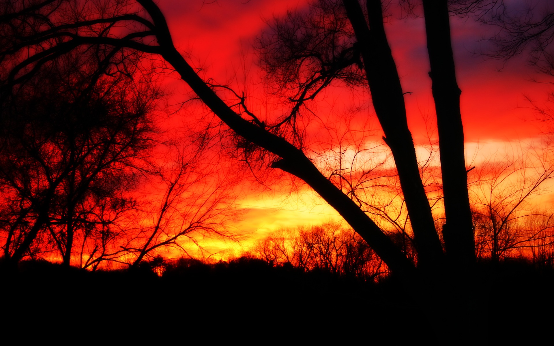 Landscape red sunset