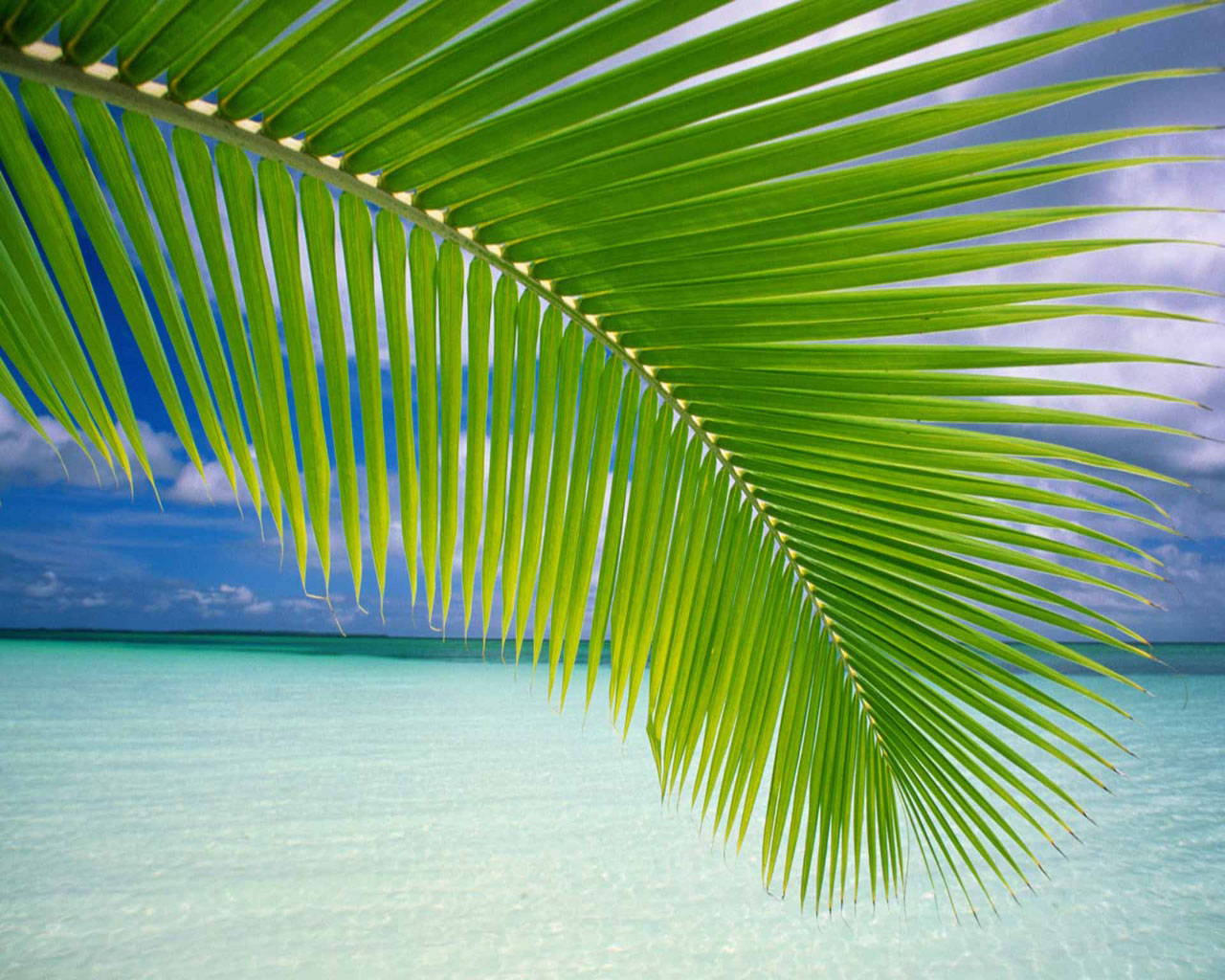 Island Beach Dell Laptop Wallpapers Background