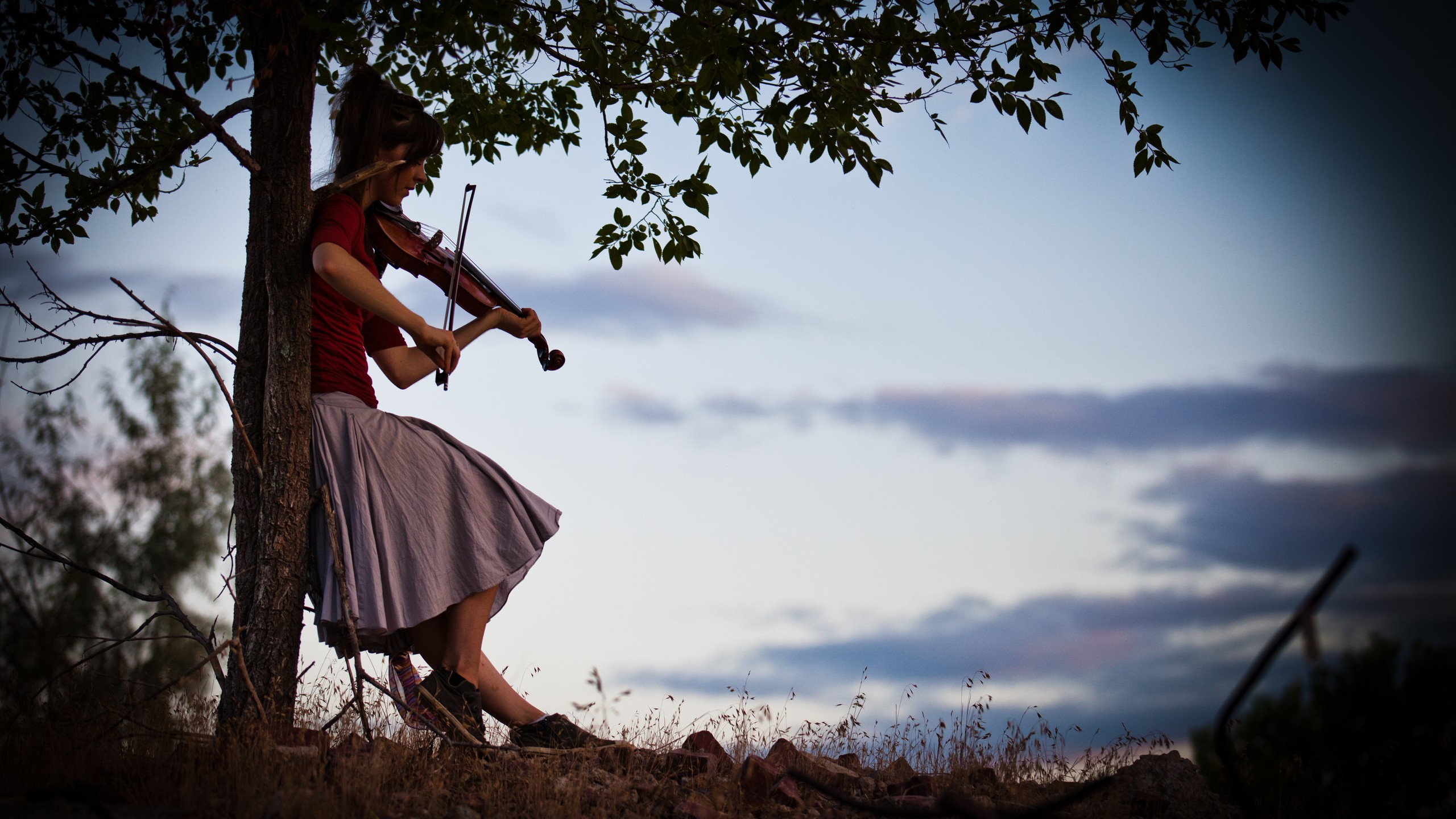 HD Wallpaper | Background ID:242952. 2560x1440 Music Lindsey Stirling