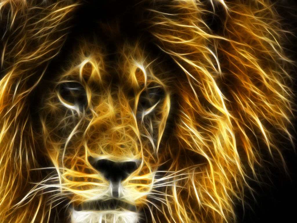 Another Lion lion wallpaper