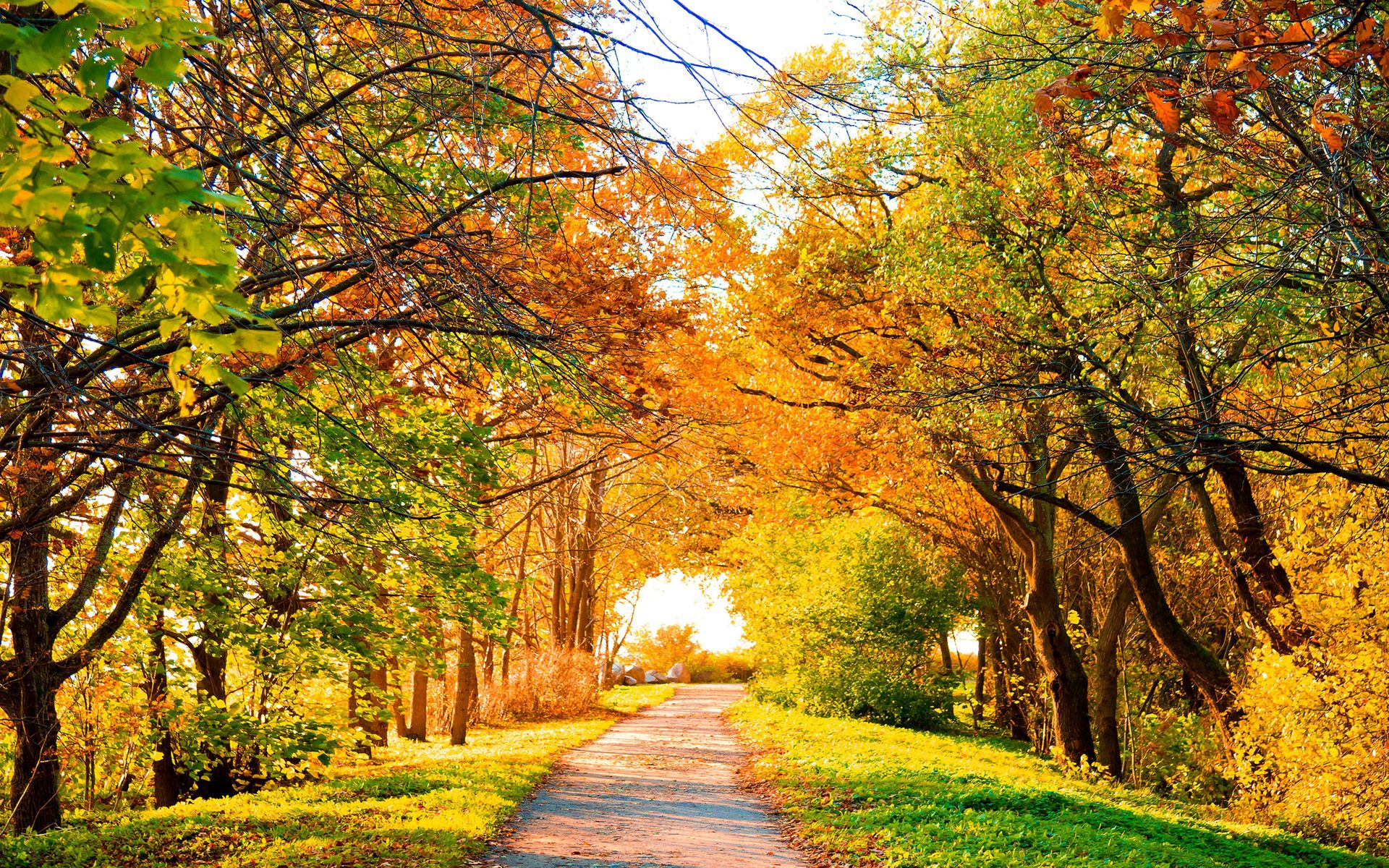 Lovely Autumn Landscape Wallpaper