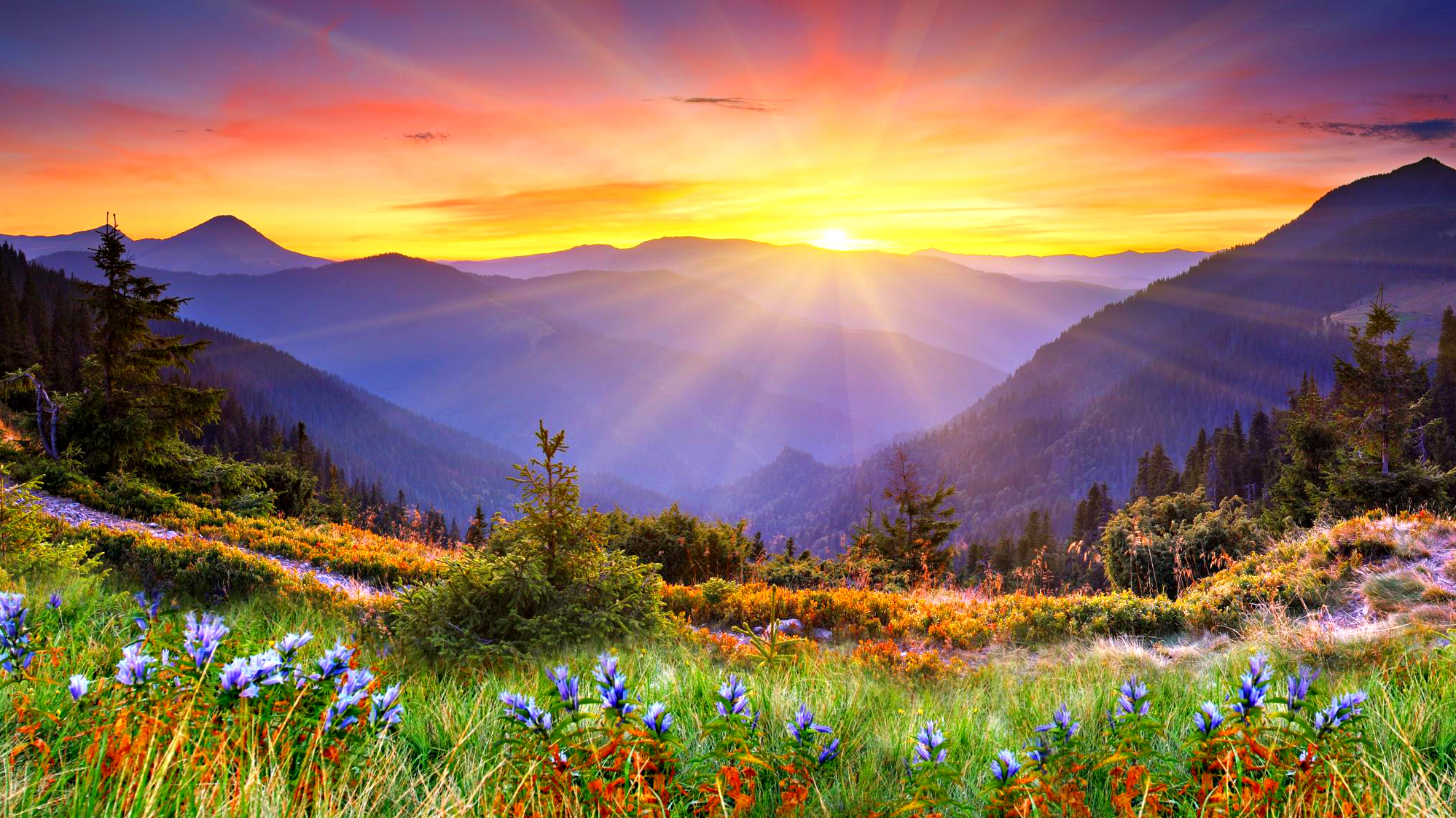 12 Beautiful HD Sunrise Wallpapers