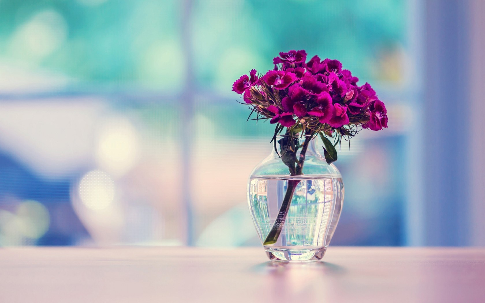 Lovely Vase Pictures