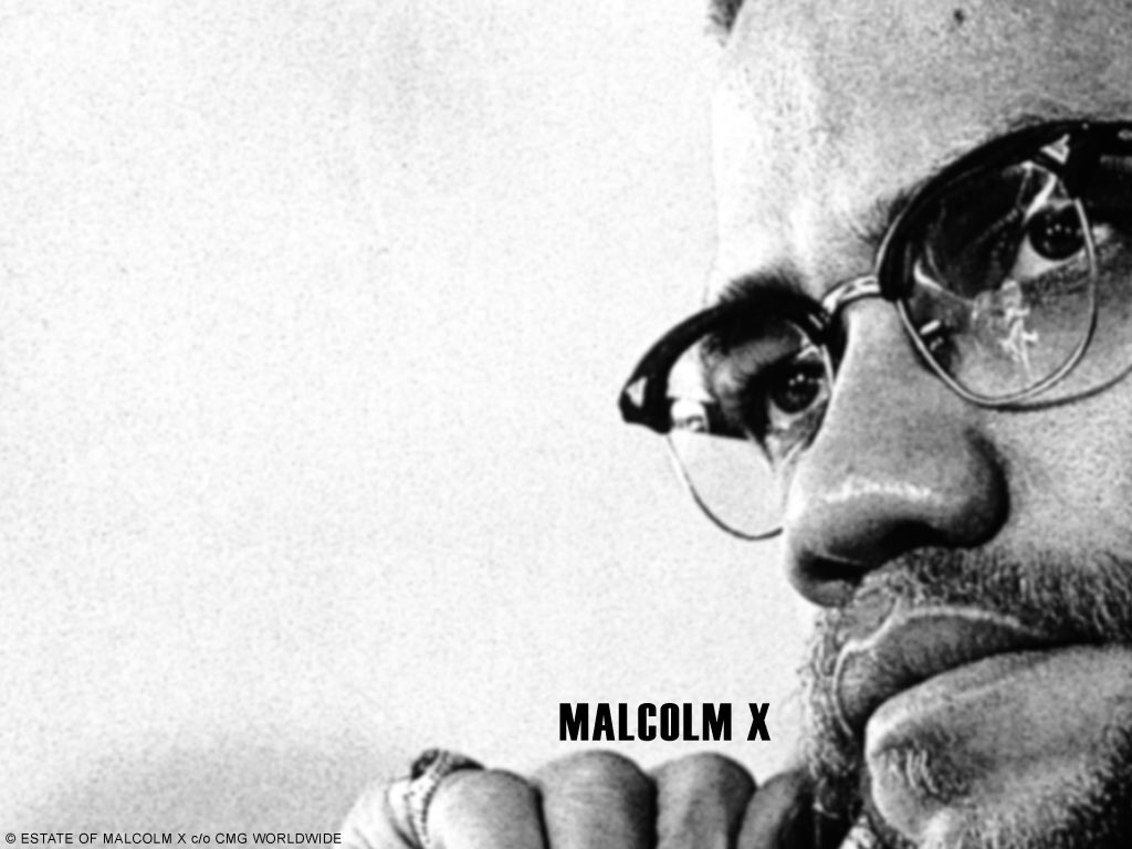 Malcolm X: His Life and Legacy [Video]