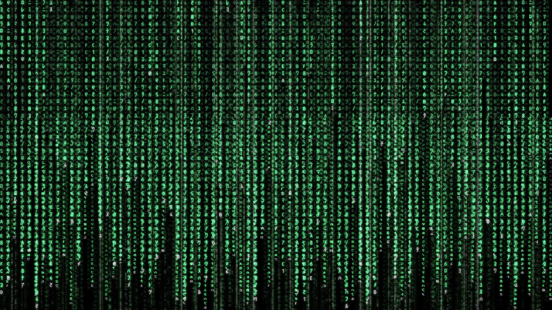 HD Wallpaper | Background ID:77840. 1920x1080 Movie The Matrix