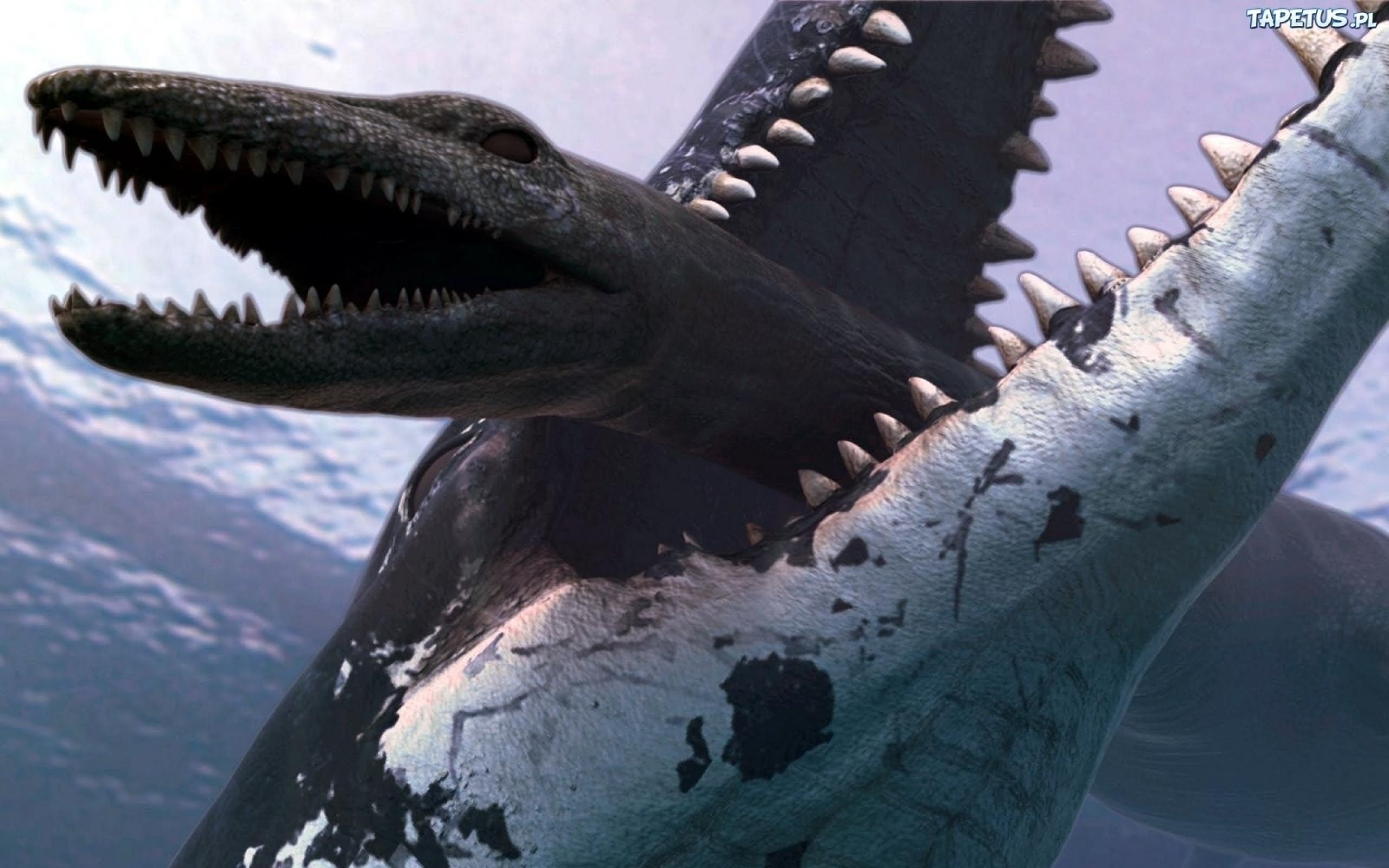Battlefield 4 : The Megalodon shark ? Im looking for the shark
