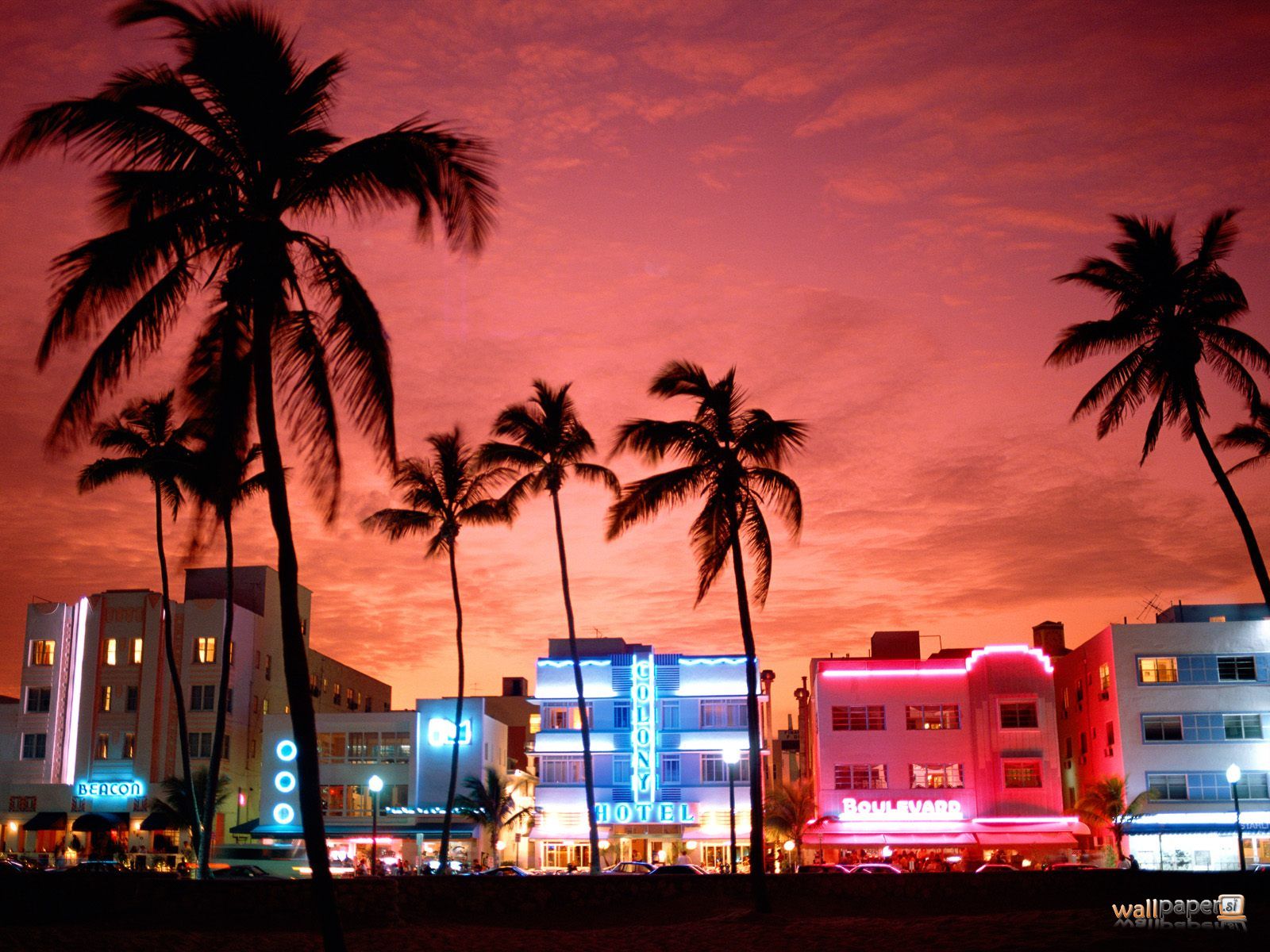 Miami Beach Skyline Wallpaper Watch Hd 1600x1200px