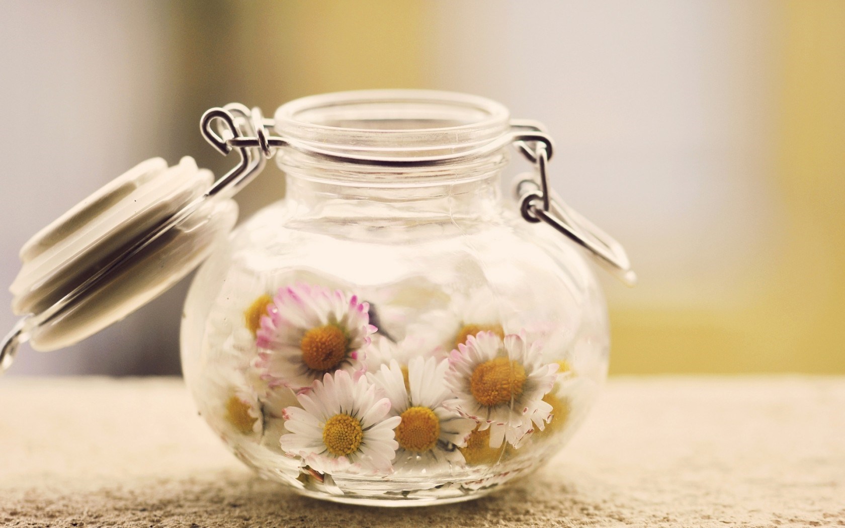 Mood Daisies Flowers Jar