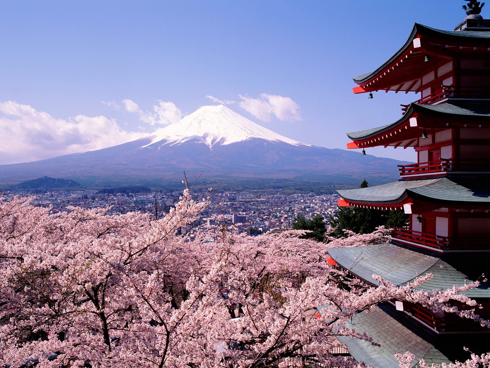 After Tokyo, we climbed Mt. Fuji on a whim (the view at the top was so amazing – see pictures below). We also visited Hiroshima (the museum was excellent, ...