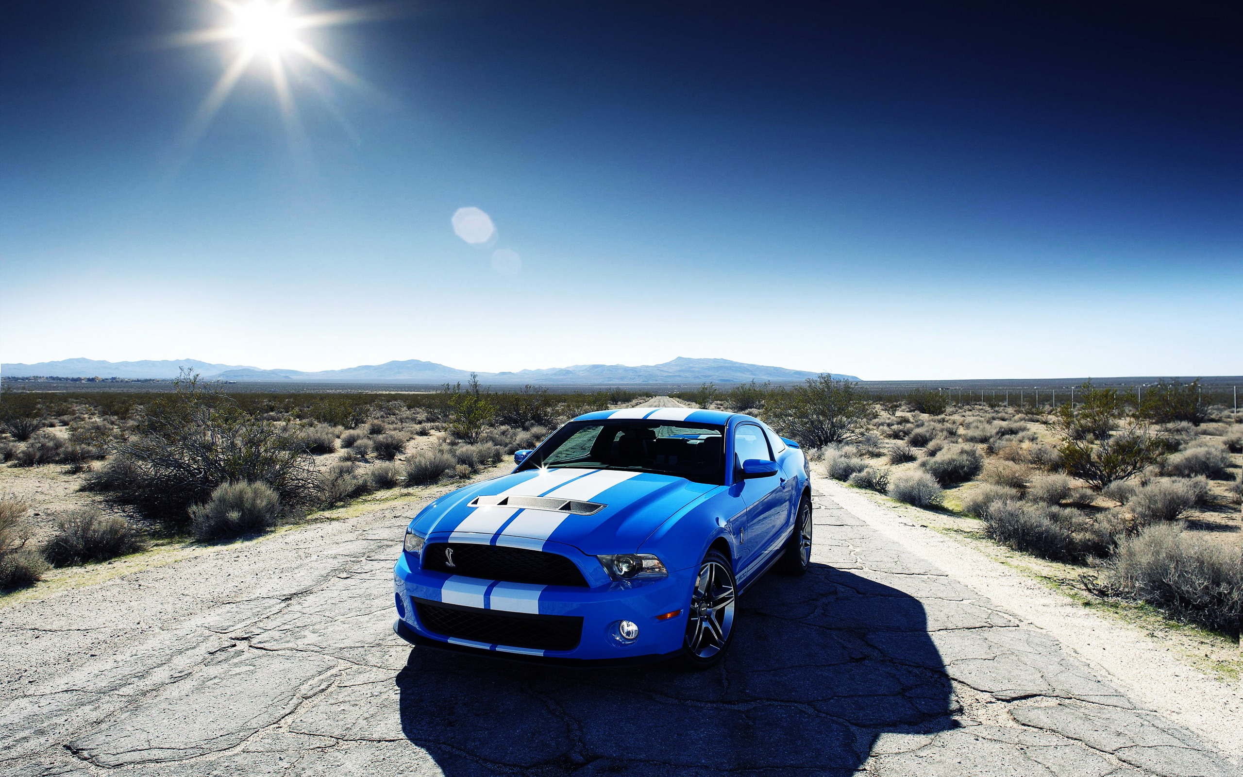 Mustang Wallpapers 1 Mustang Wallpapers 1 2010 Ford Shelby GT500 ...
