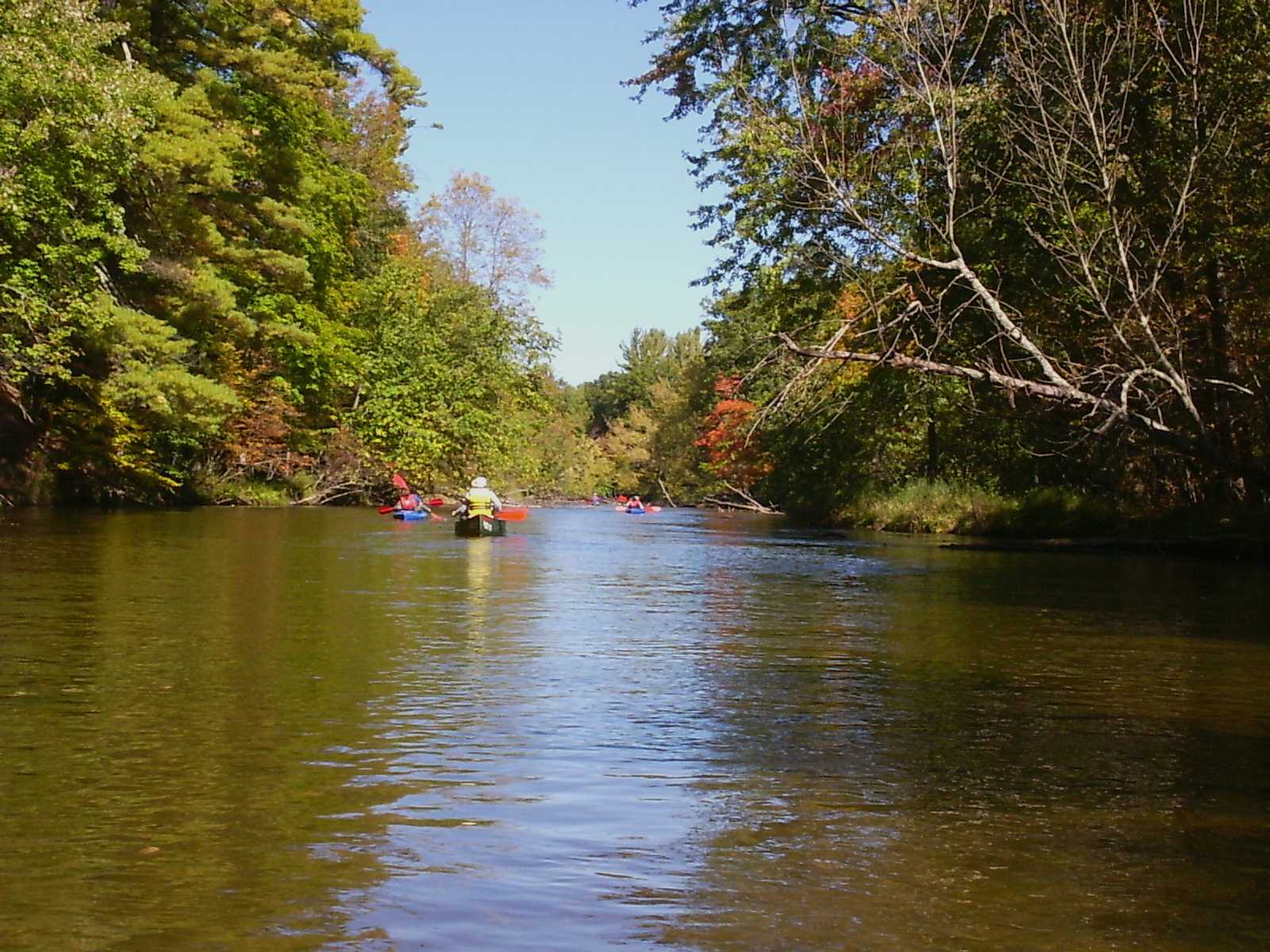 File:Pere Marquette River in Fall Manistee National Forest.JPG