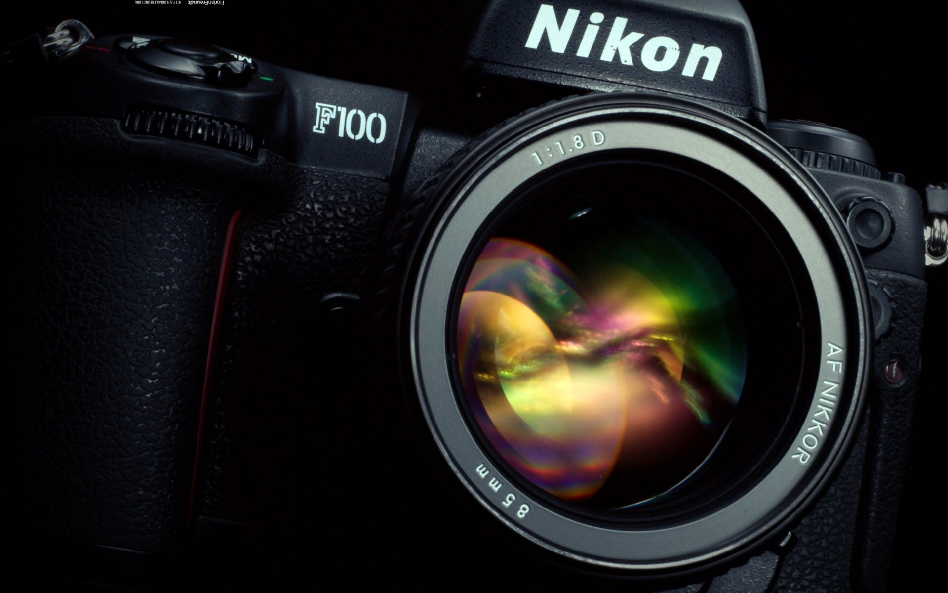 Nikon Photography