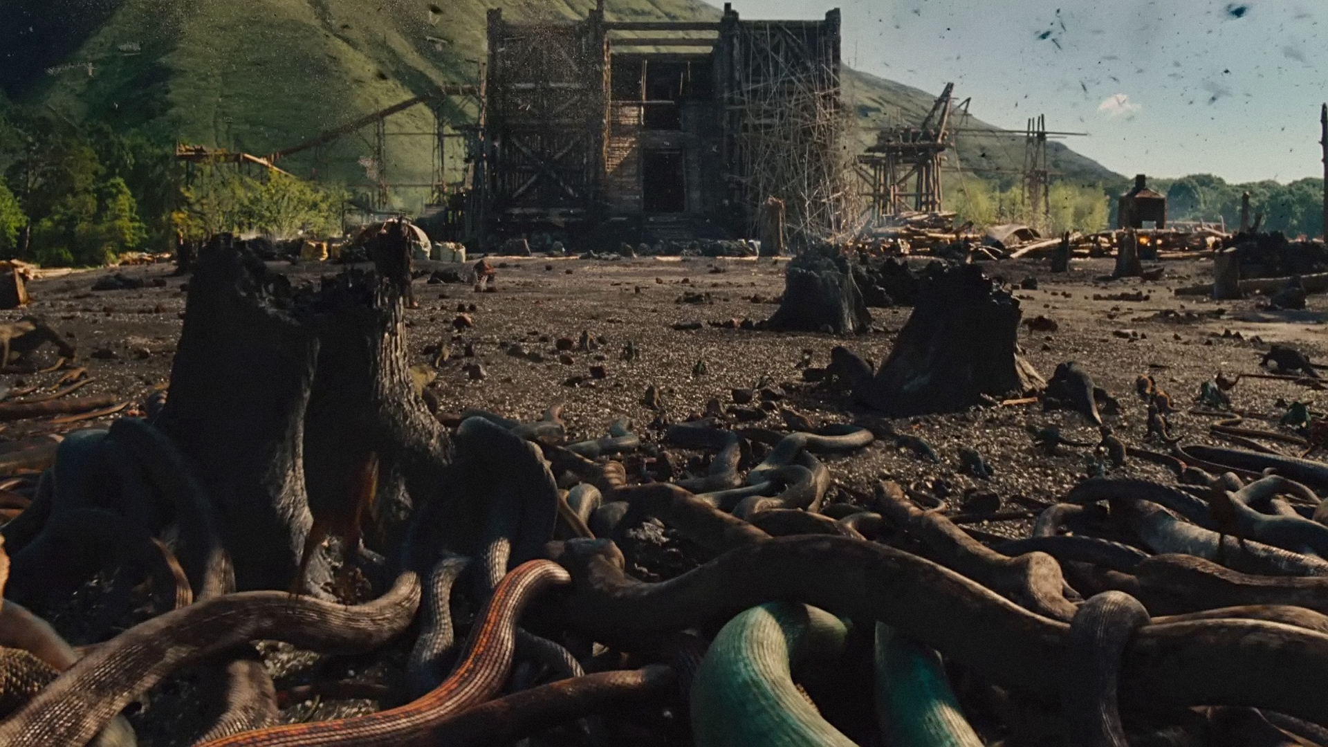 The biggest problem with Noah lies solidly with the special effects department. Being sort of a disaster movie, there's a ton of CGI and much of it is ...