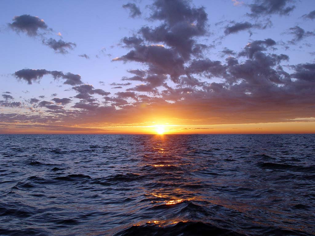 Ocean sunset by RYAFACAN ...