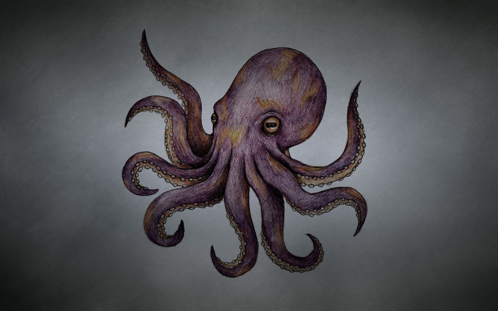 Octopus Tentacles Art