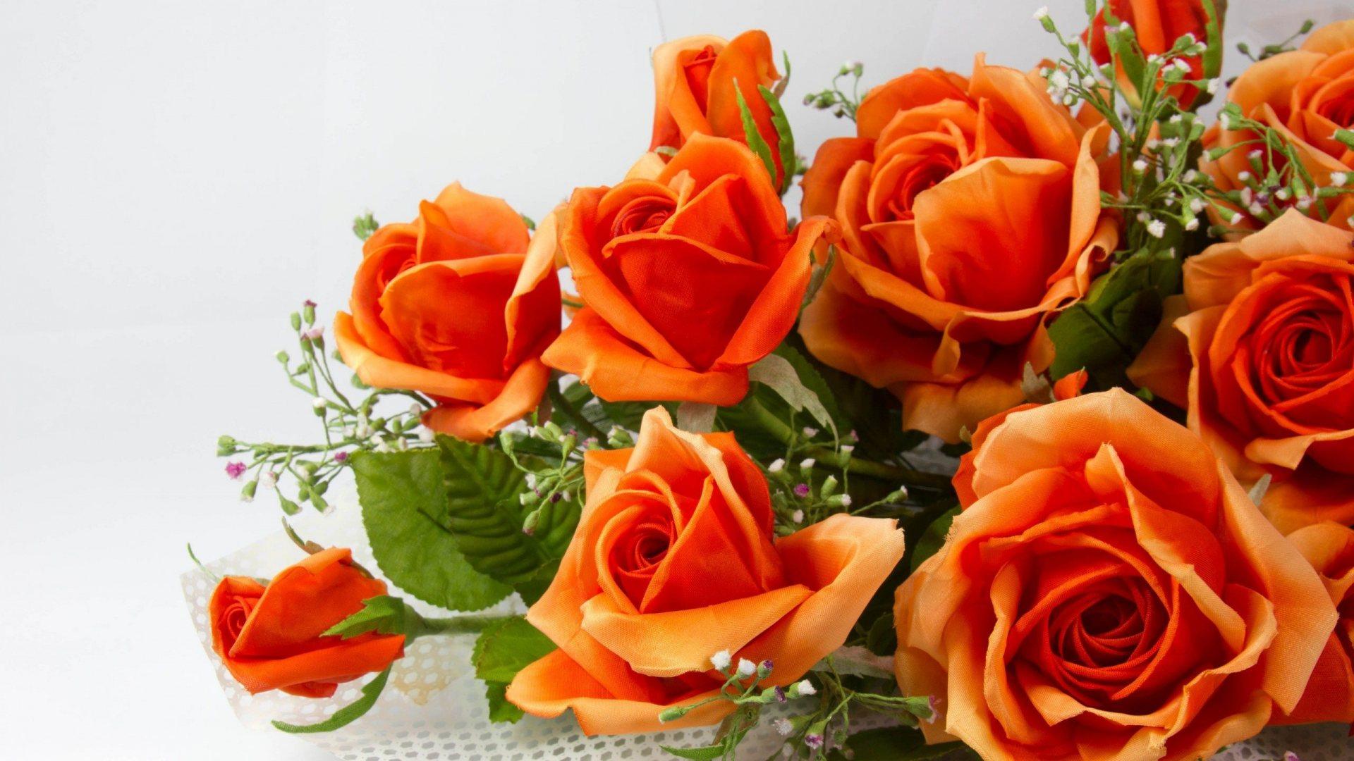 View And Download Orange Roses Wallpapers ...