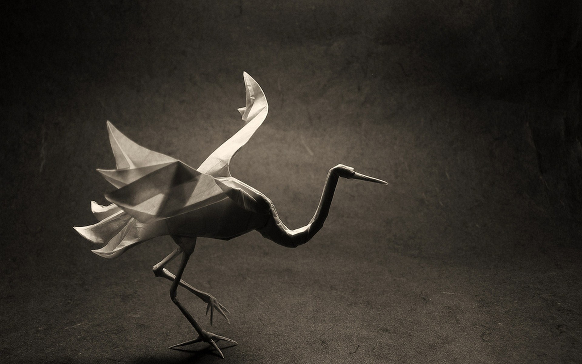 Origami Bird Crane Art Photo