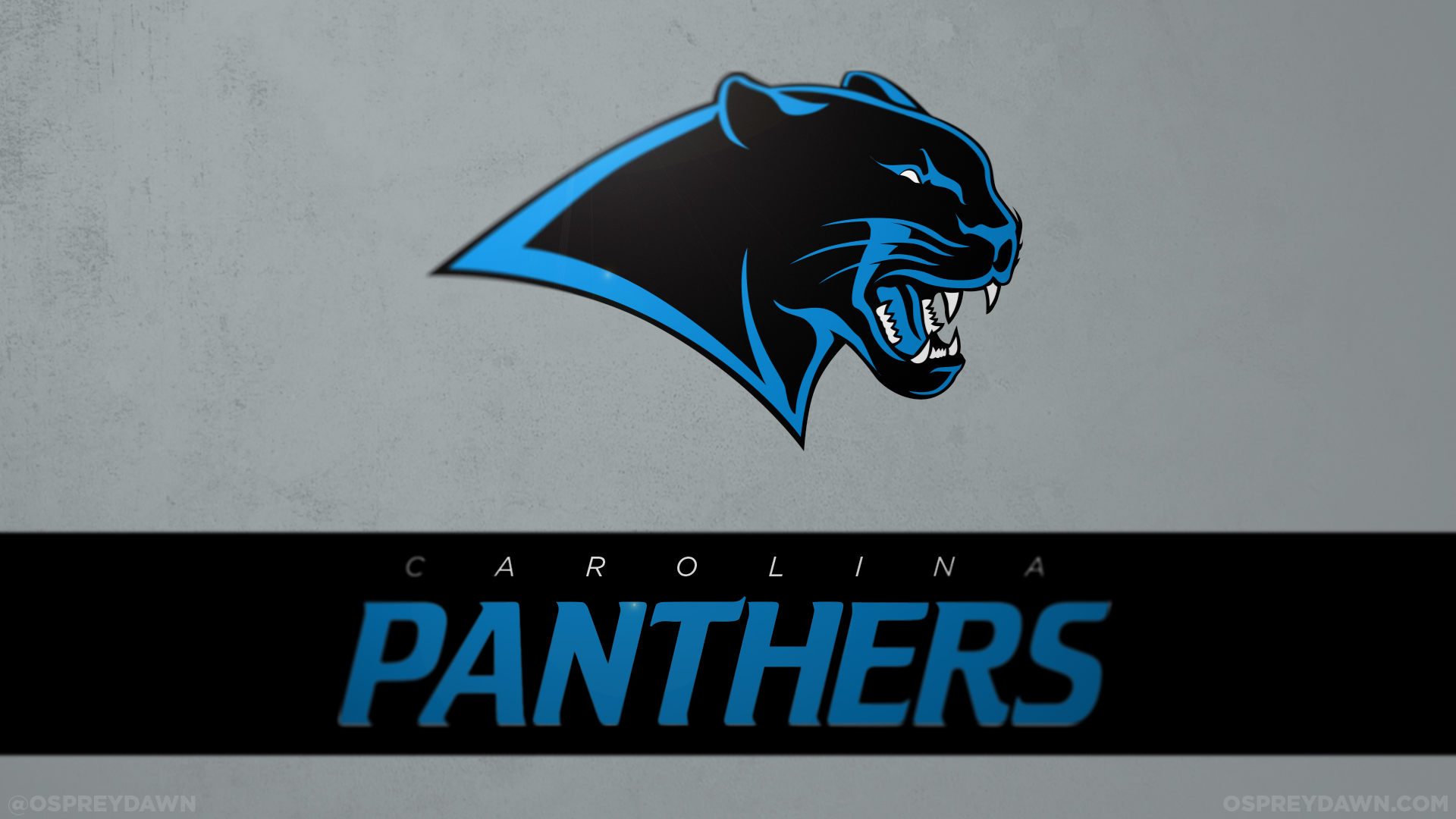 Carolina Panthers Helmet Wallpaper Viewing Gallery
