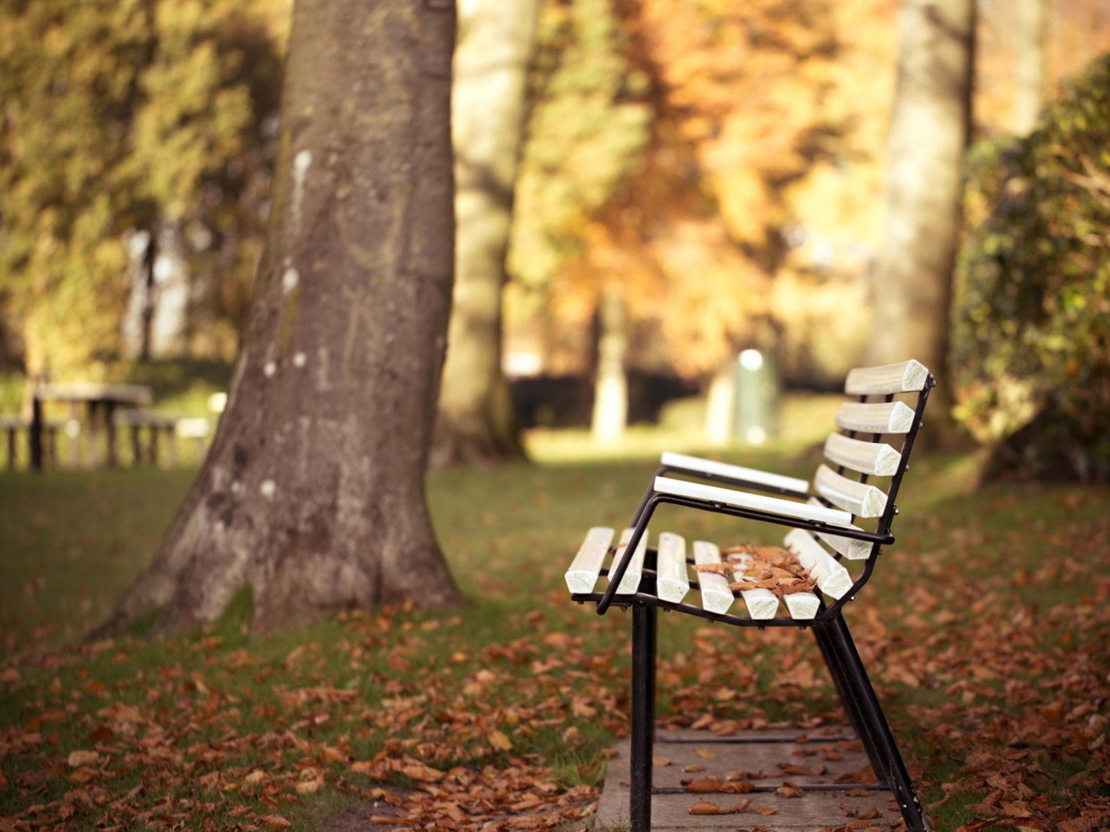 Park Bench Wallpapers