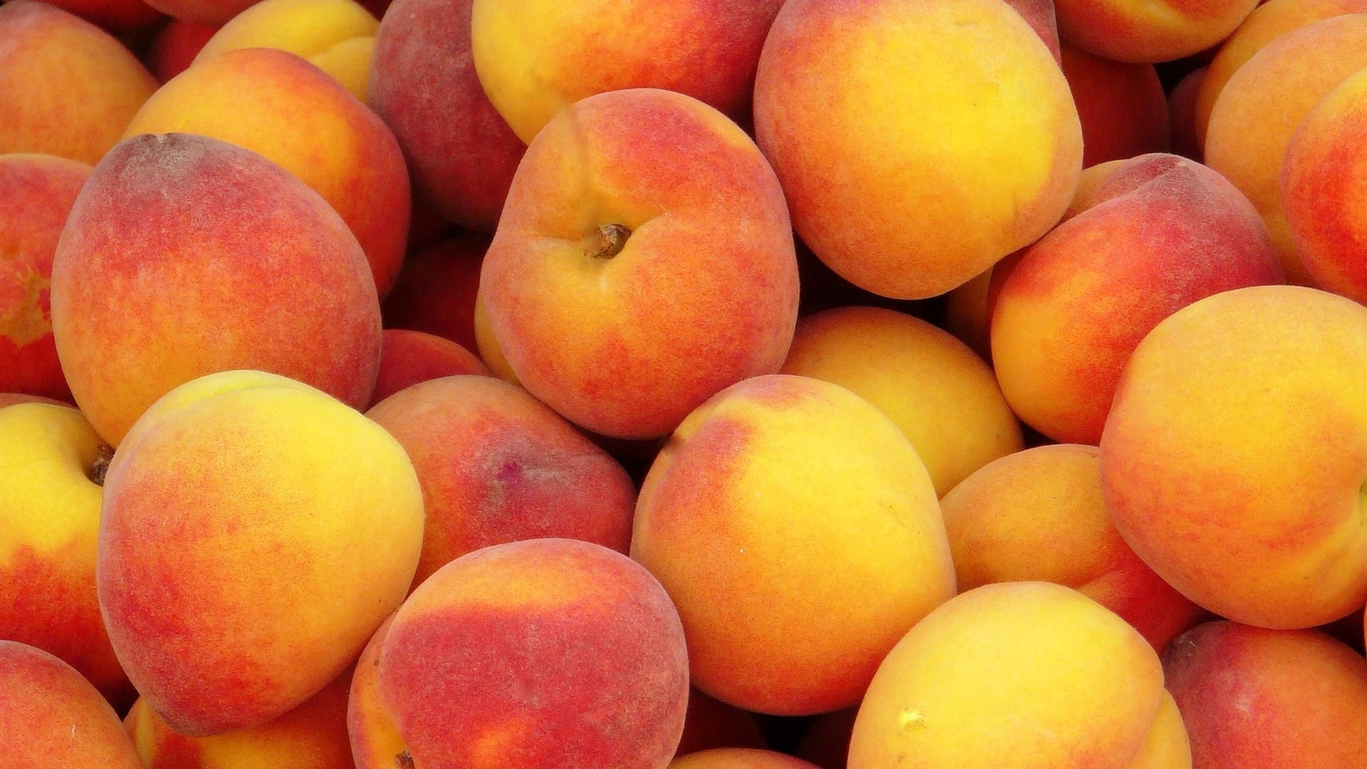 Fruit Peach Wallpaper 20689