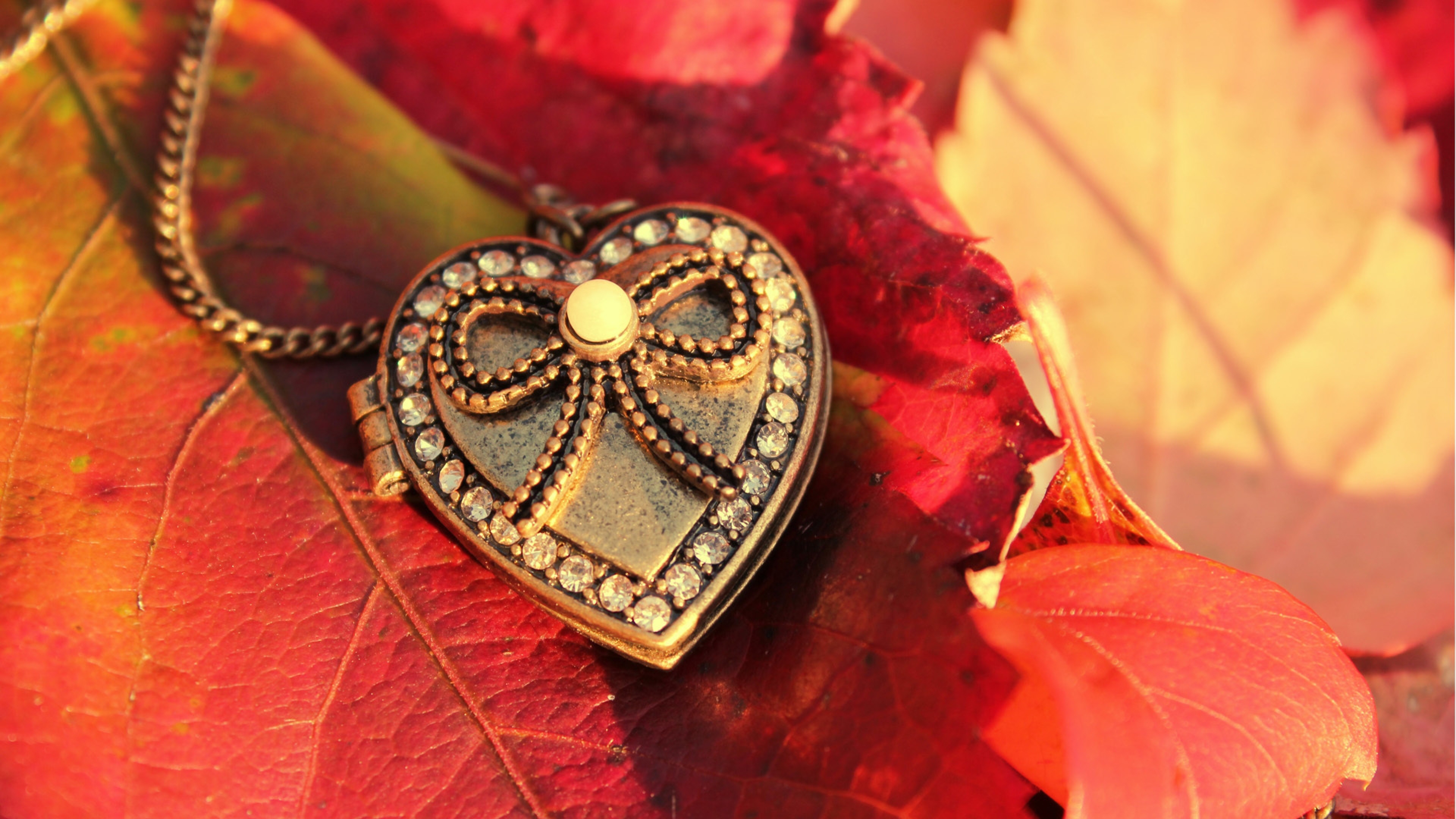3840x2160 Wallpaper heart, pendant, leaves