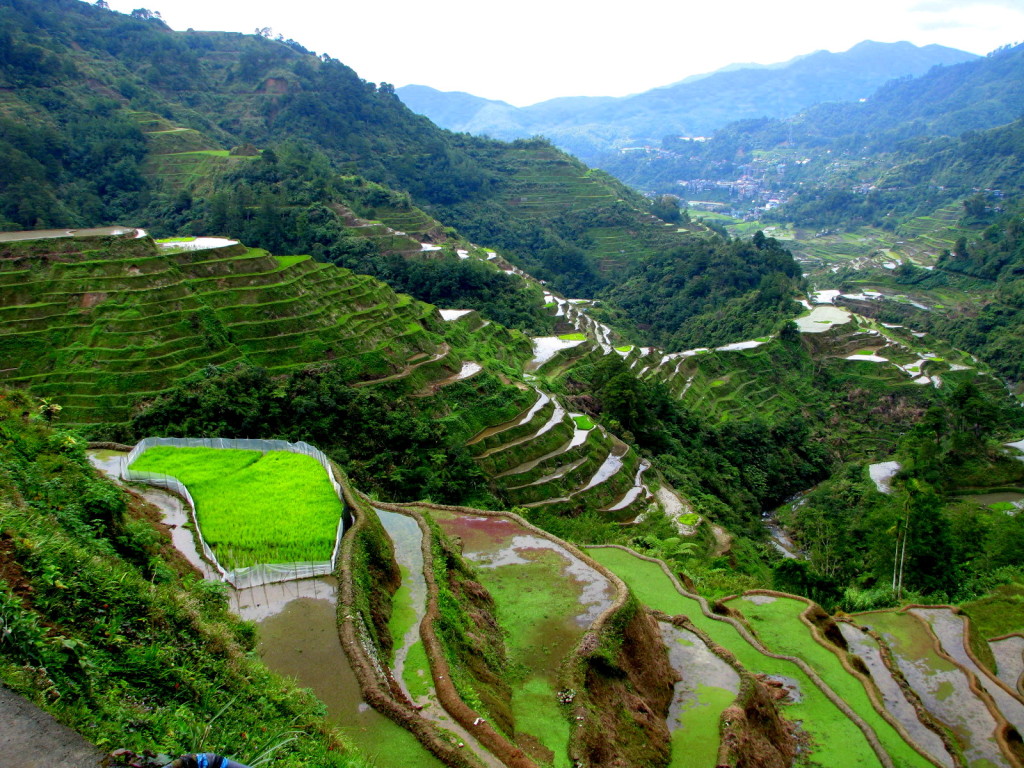 banaue-rice-terraces-in-the-philippines