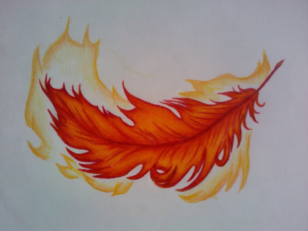 Phoenix Feather by NicholB ...
