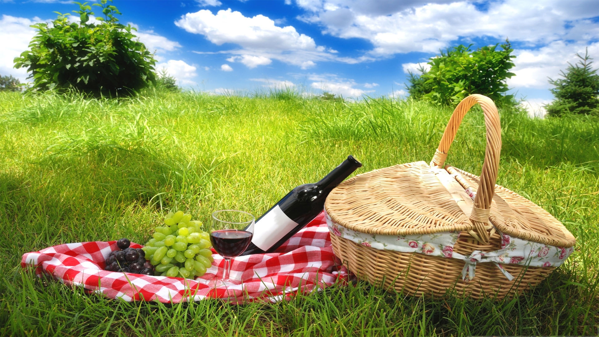 Ready For Picnic HD wallpapers