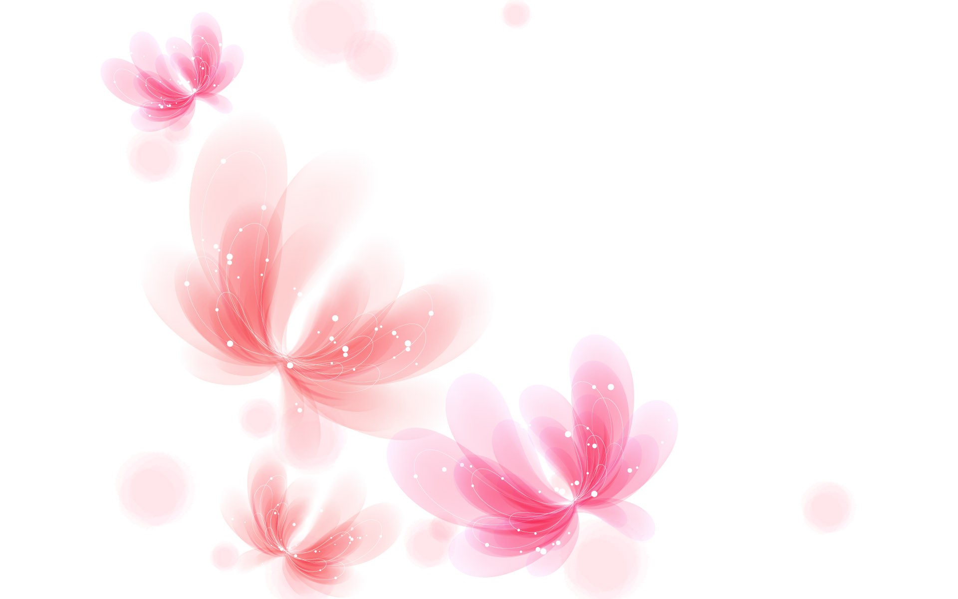 Pink and White Wallpapers