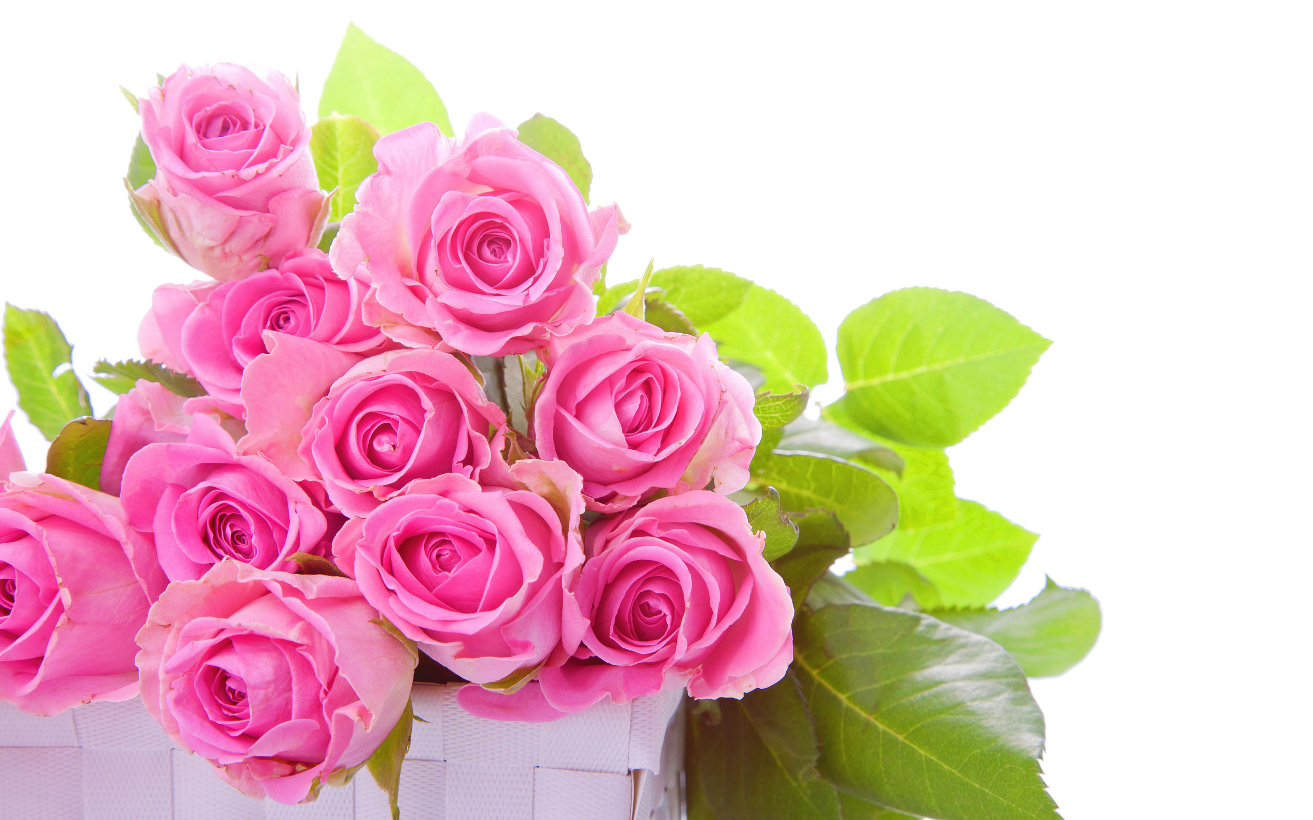 Magnificent pink roses in a white box