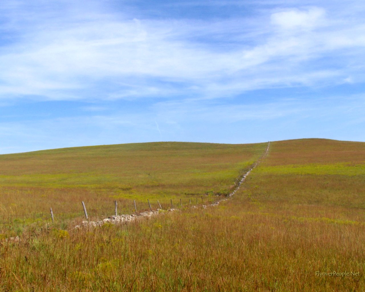Prairie Background