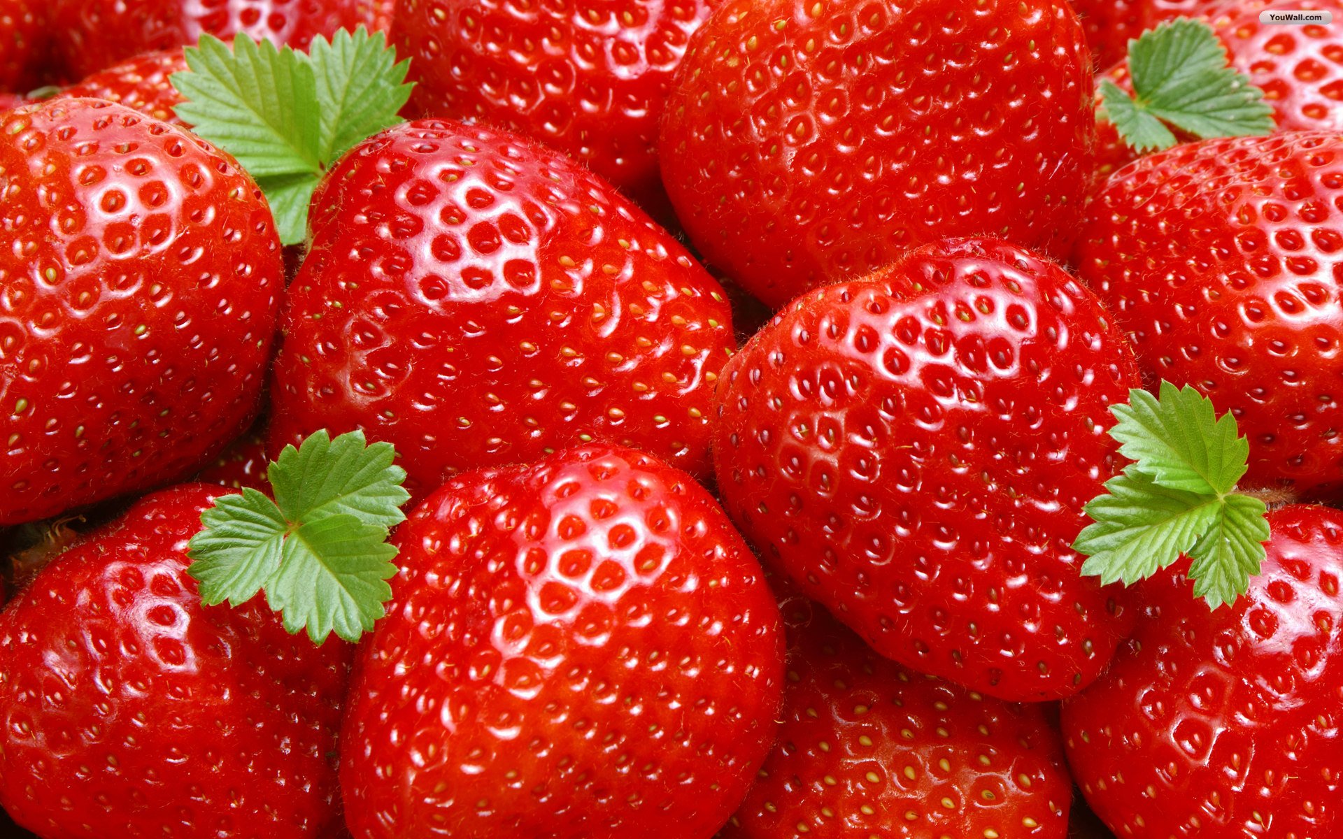 Pretty Strawberries Wallpaper