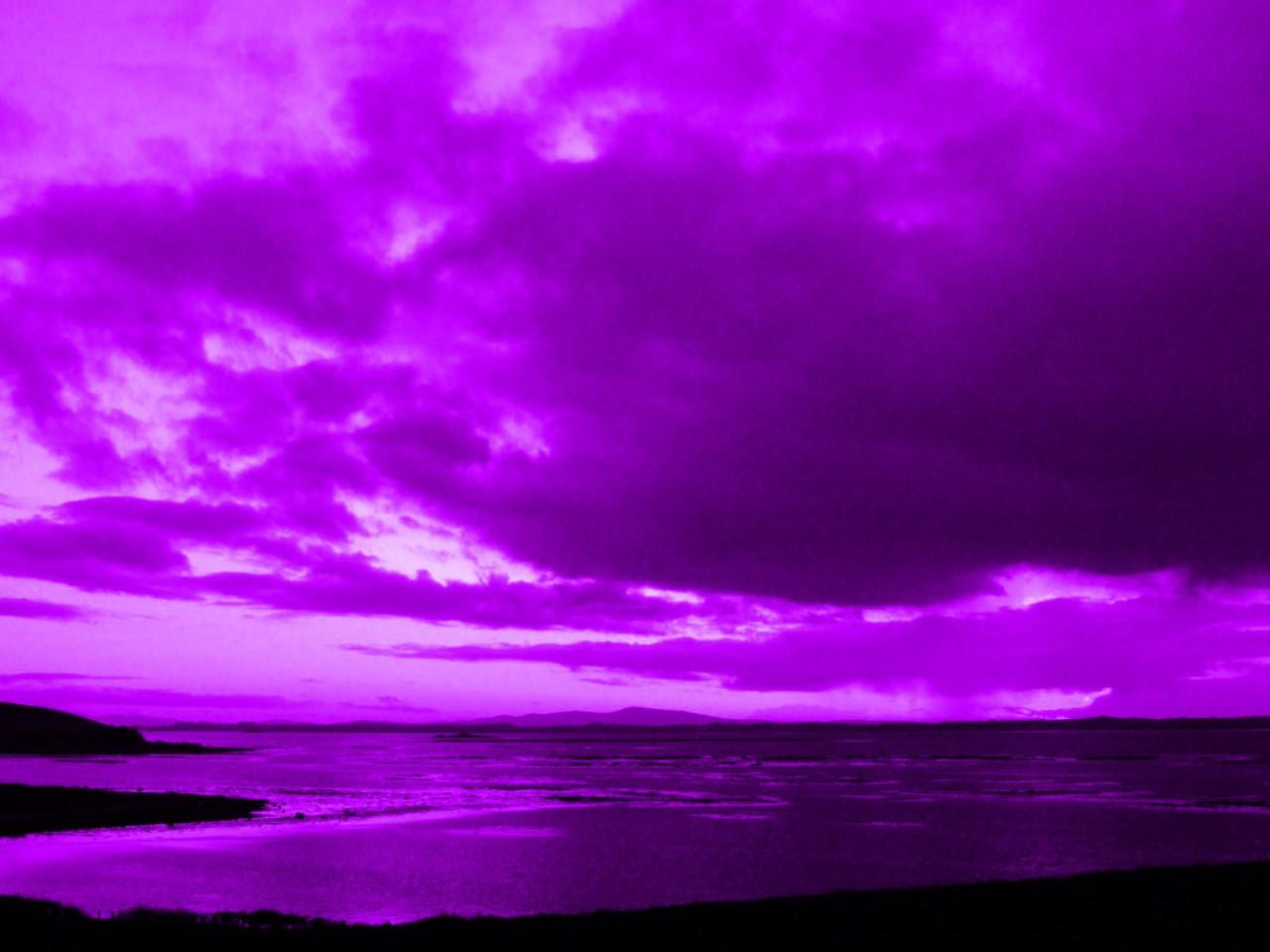 Purple Dusk