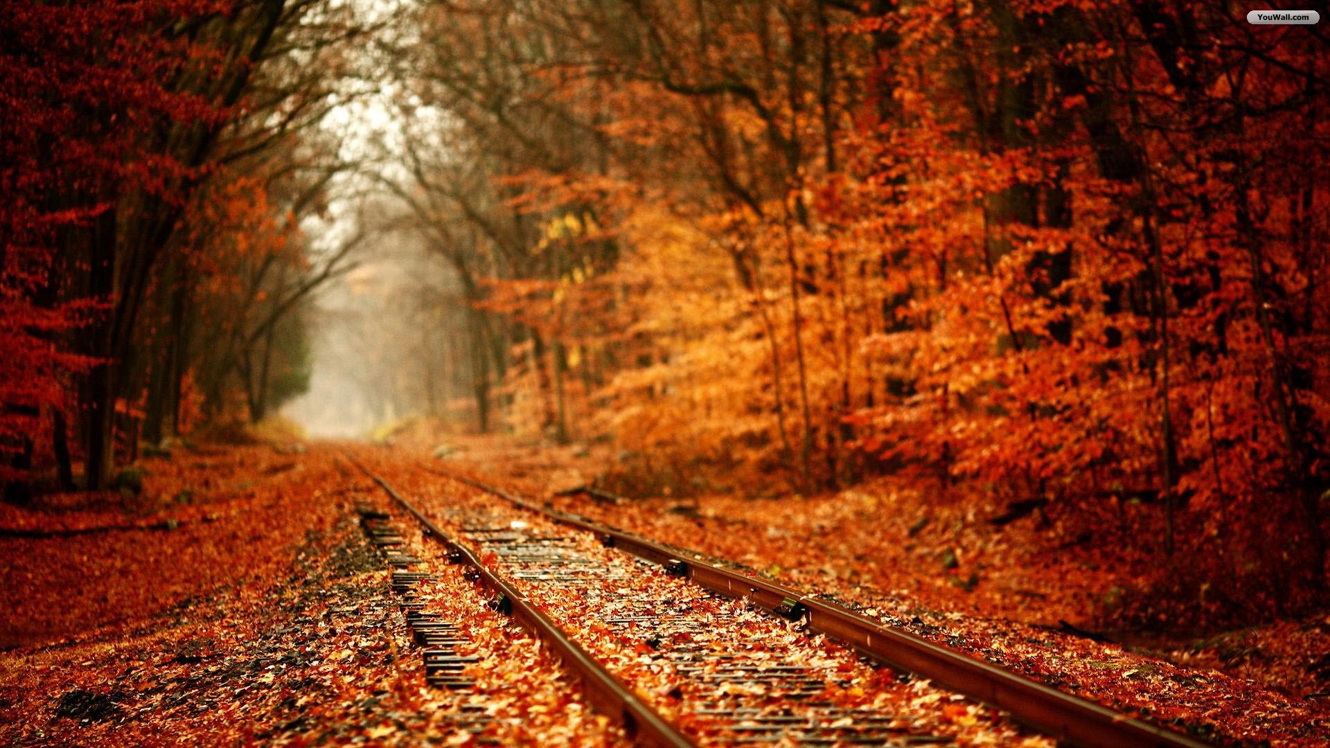 Autumn Railroad