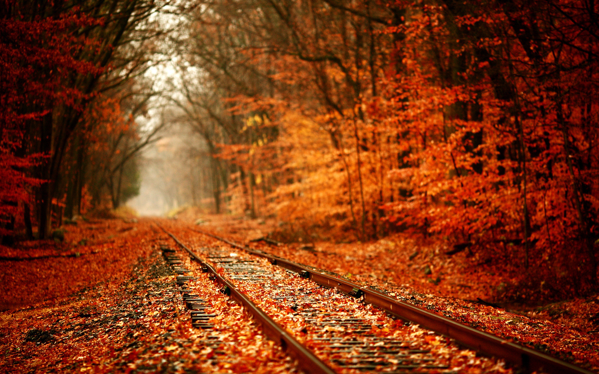 Autumn Railway