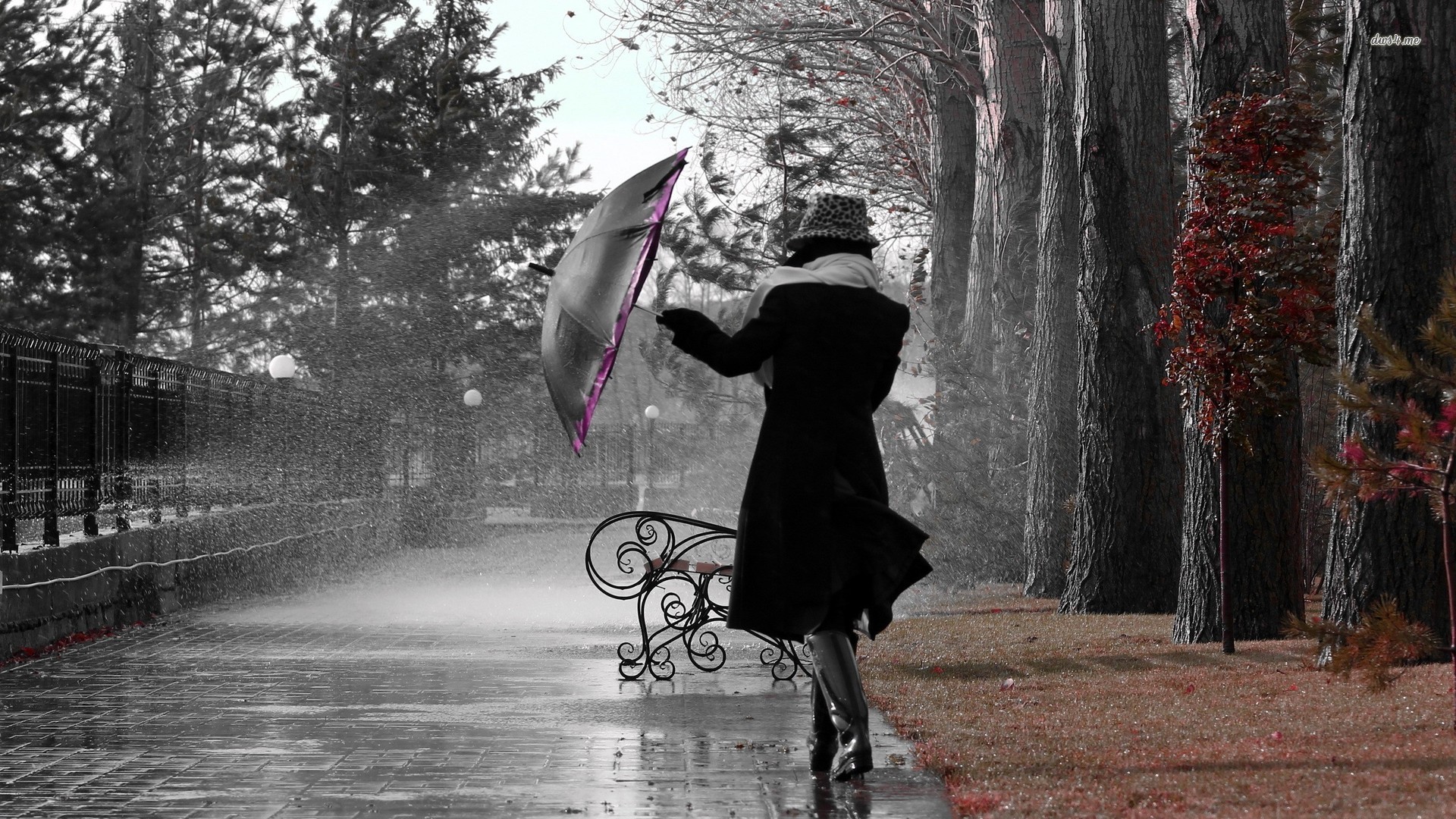 Girl in The Autumn Rain Wallpaper Photography Wallpapers