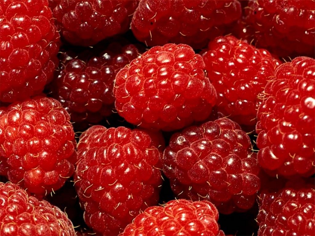 ... Fresh Raspberries Wallpapers-4 ...