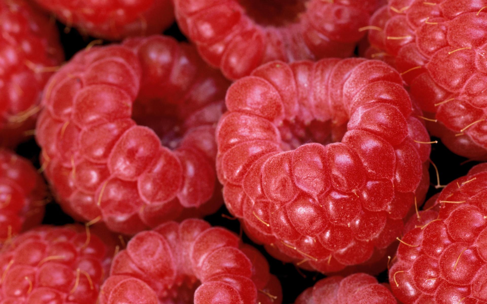 View and Download Raspberries wallpaper Raspberries wallpaper
