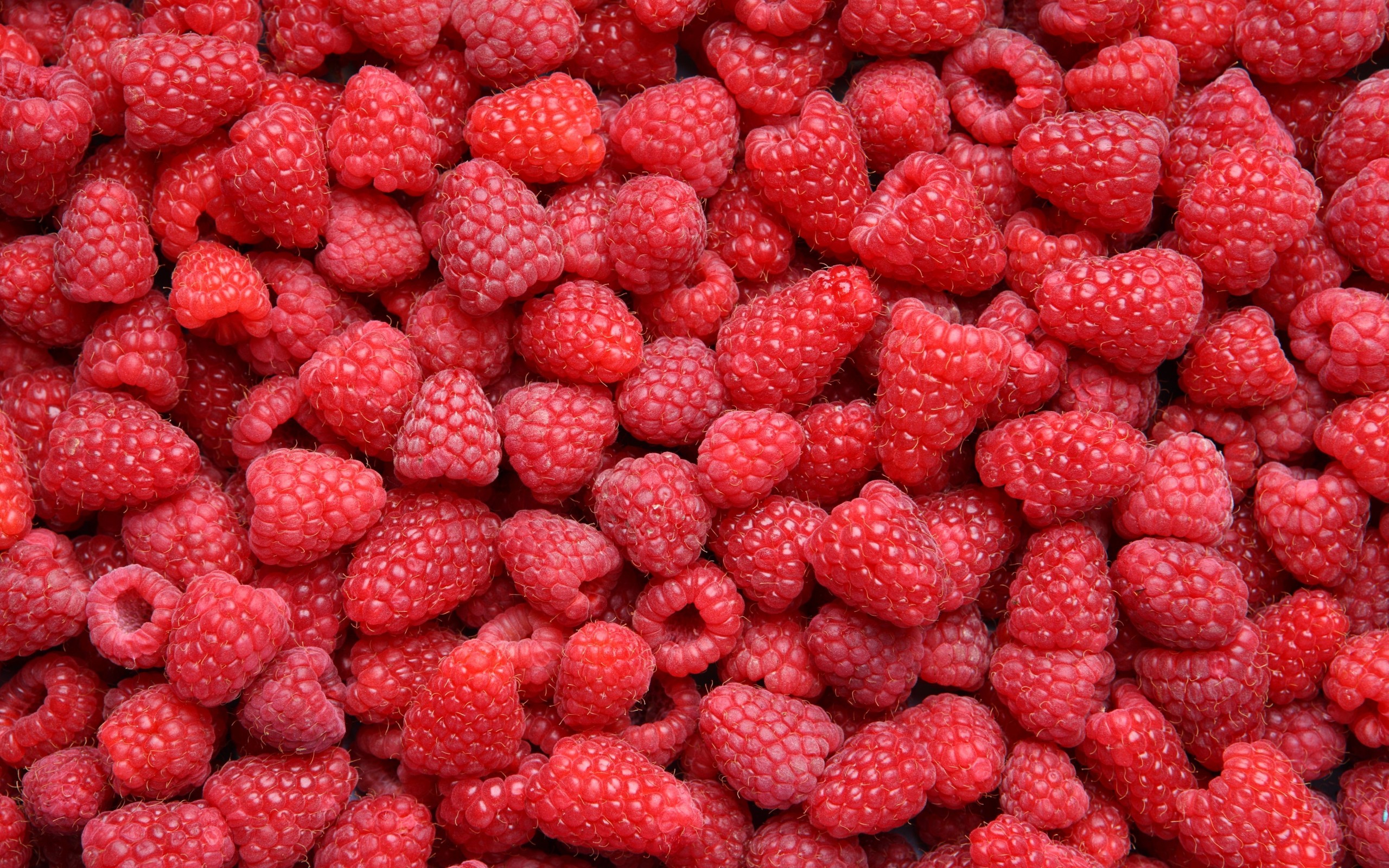 Raspberries Wallpaper
