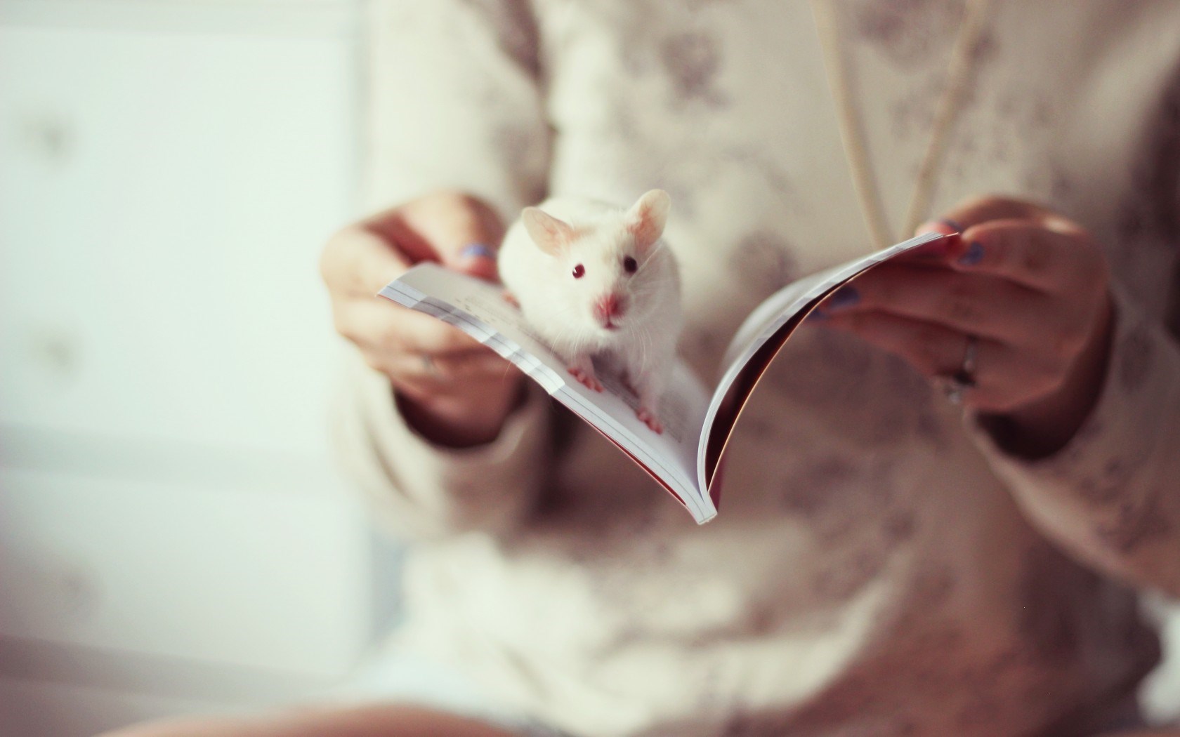 Rat Book Girl Mood