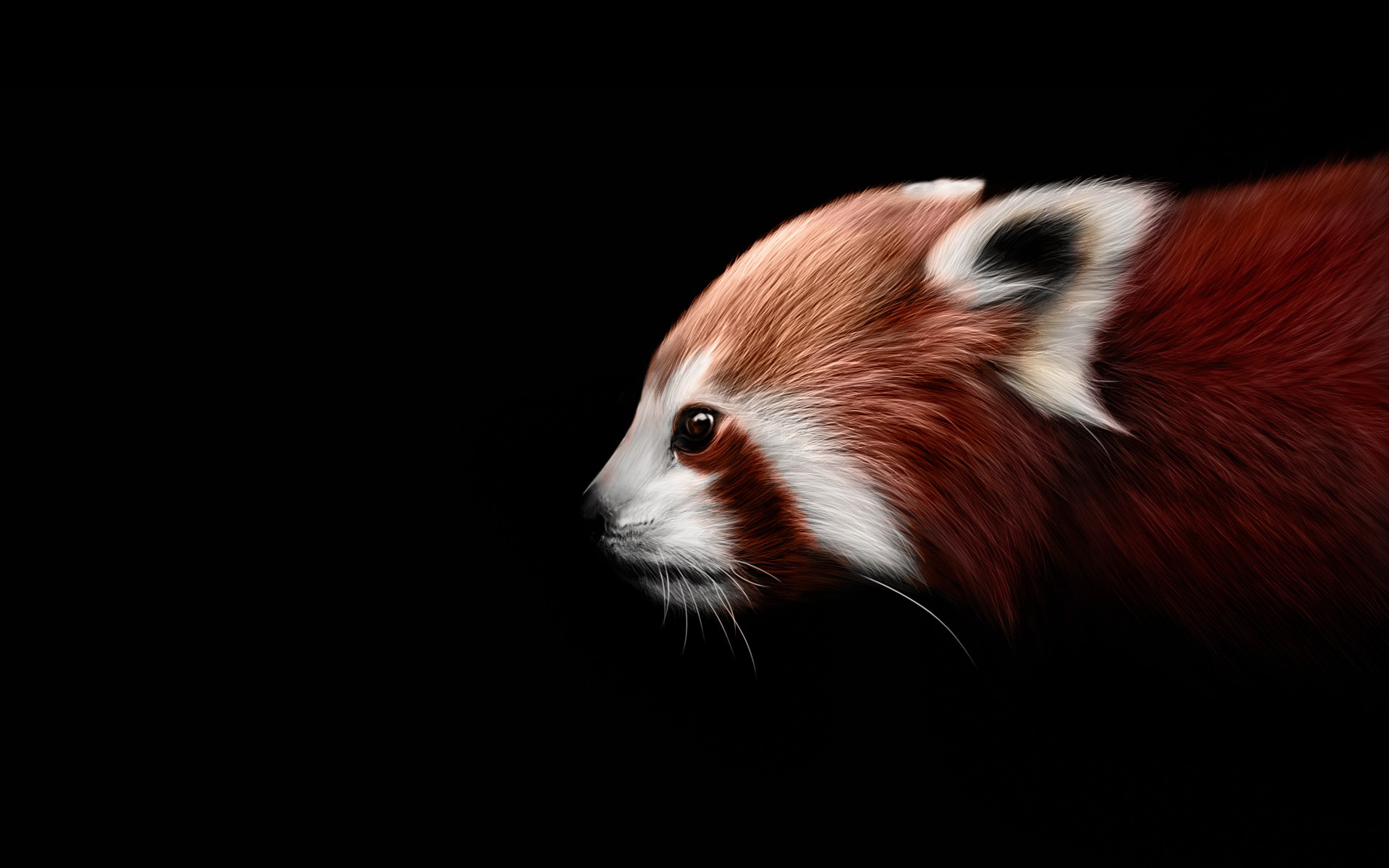Red panda artwork