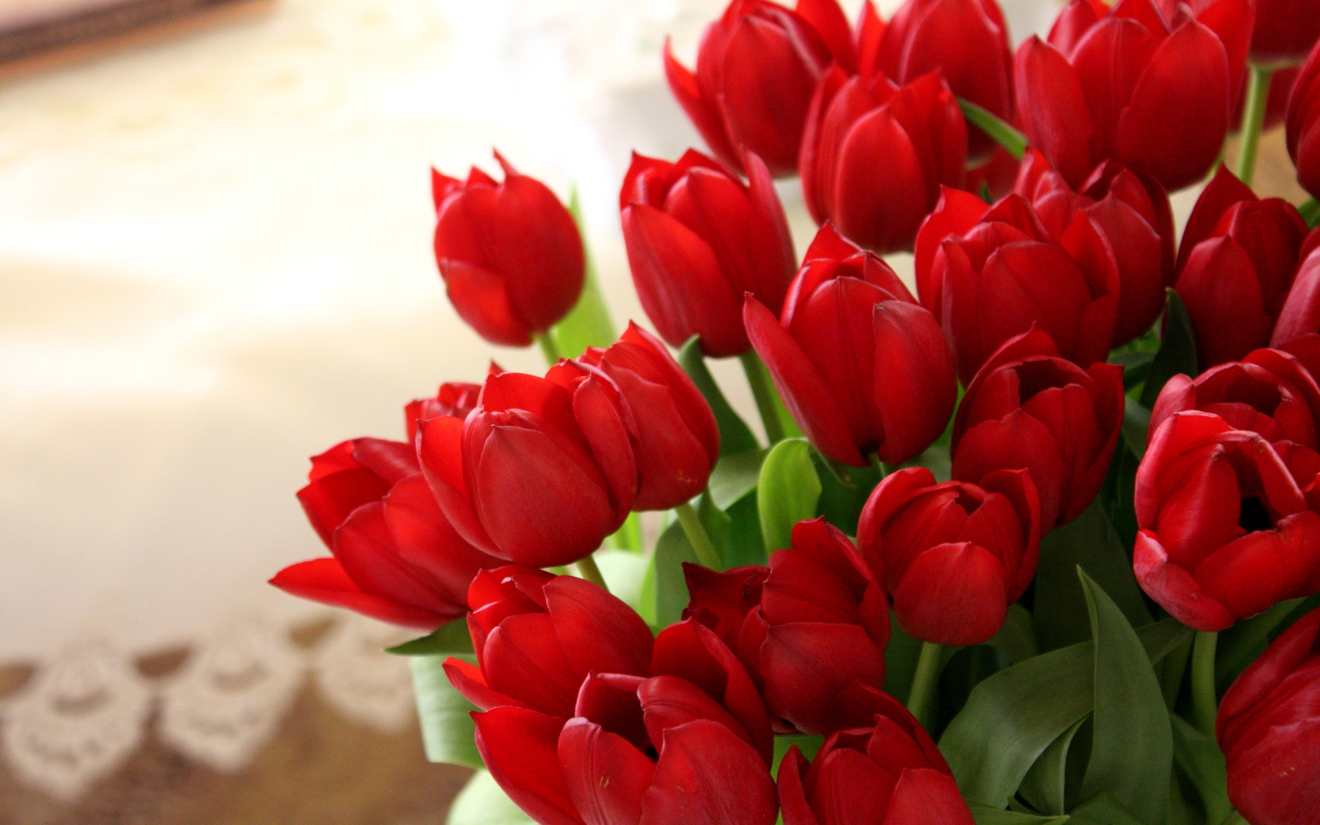 Red Tulips Wallpaper ...