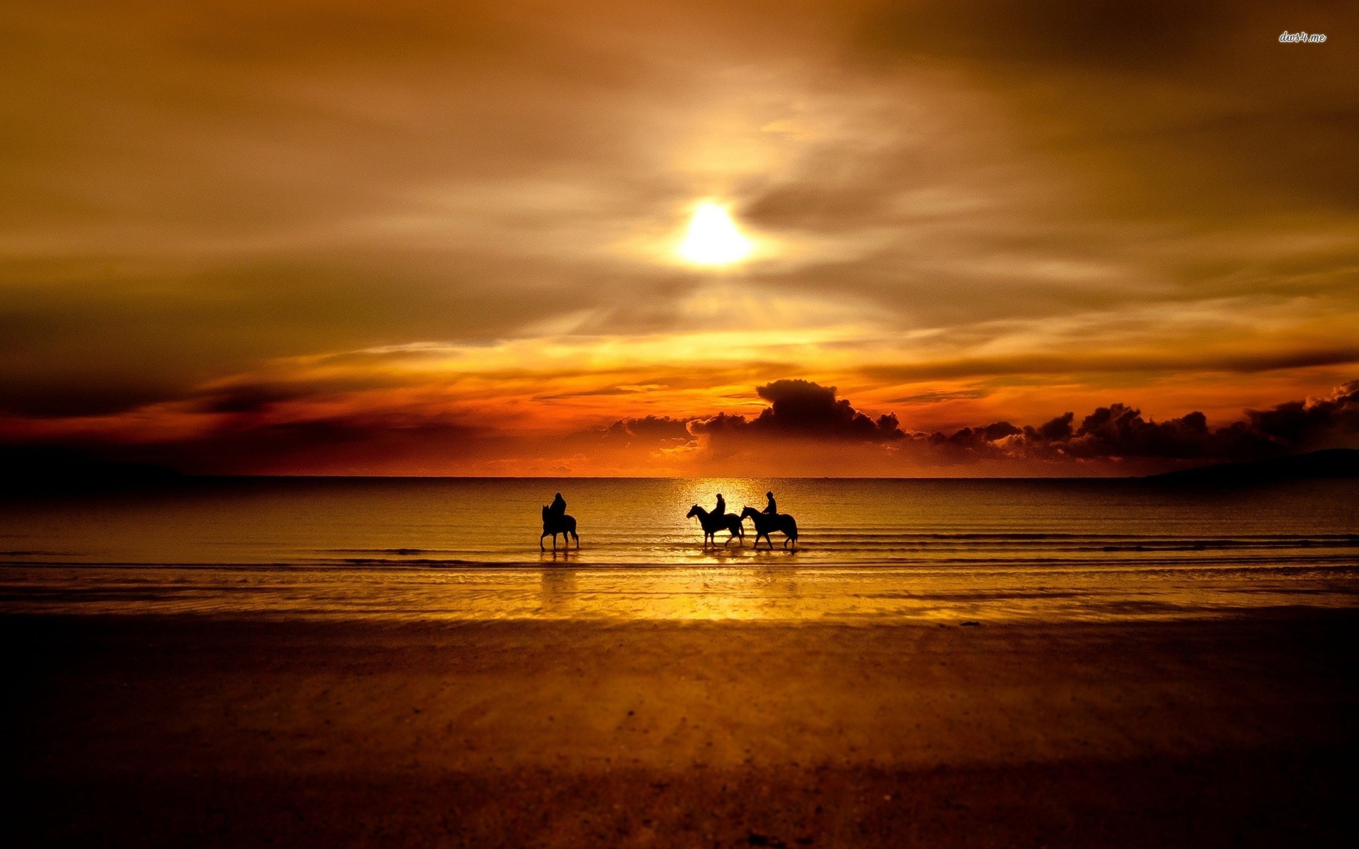 Horseback Riding in The Sunset Wallpaper Beach Wallpapers 1920x1200px