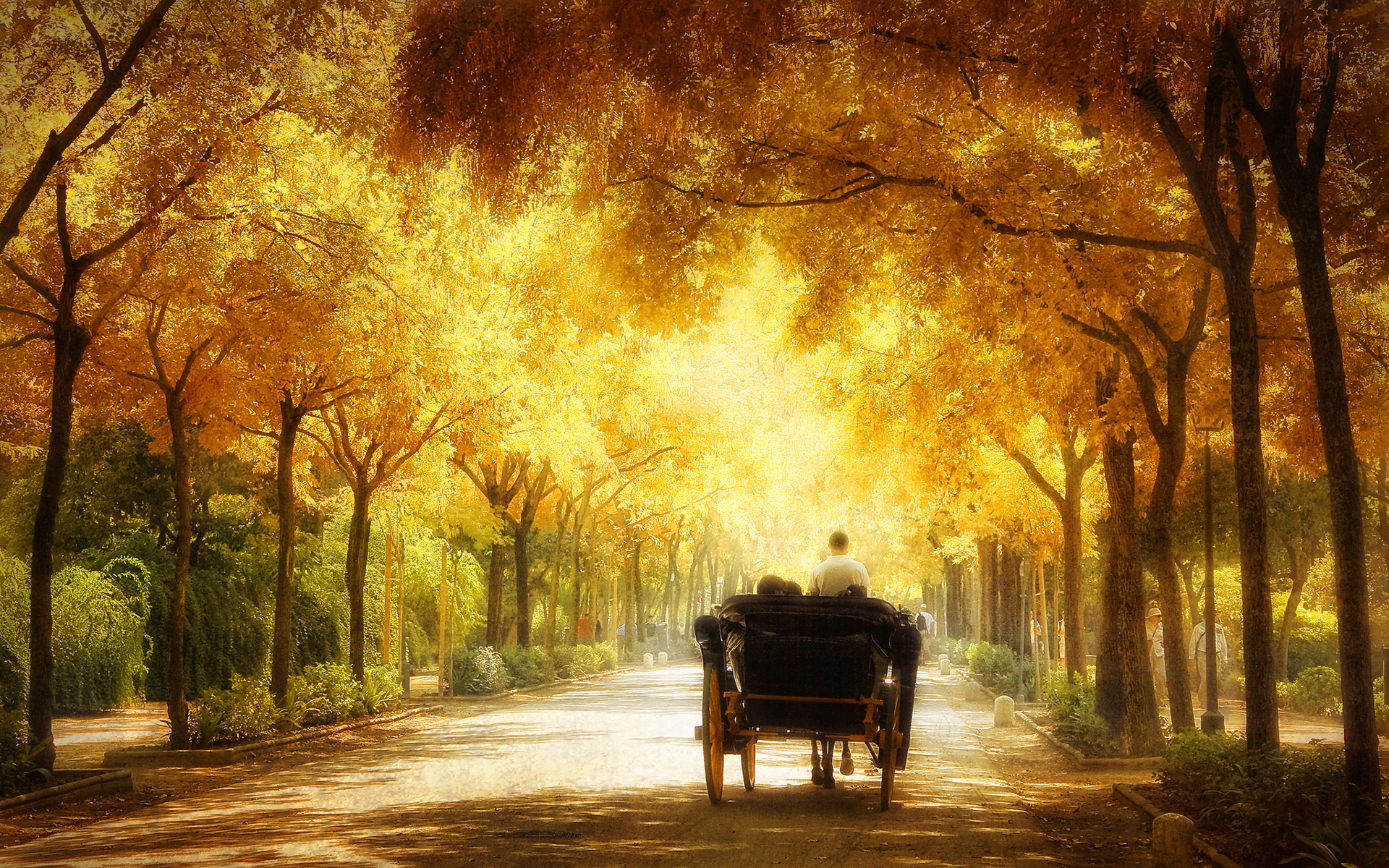 Romantic Carriage Ride Wallpaper 1920x1200 28217