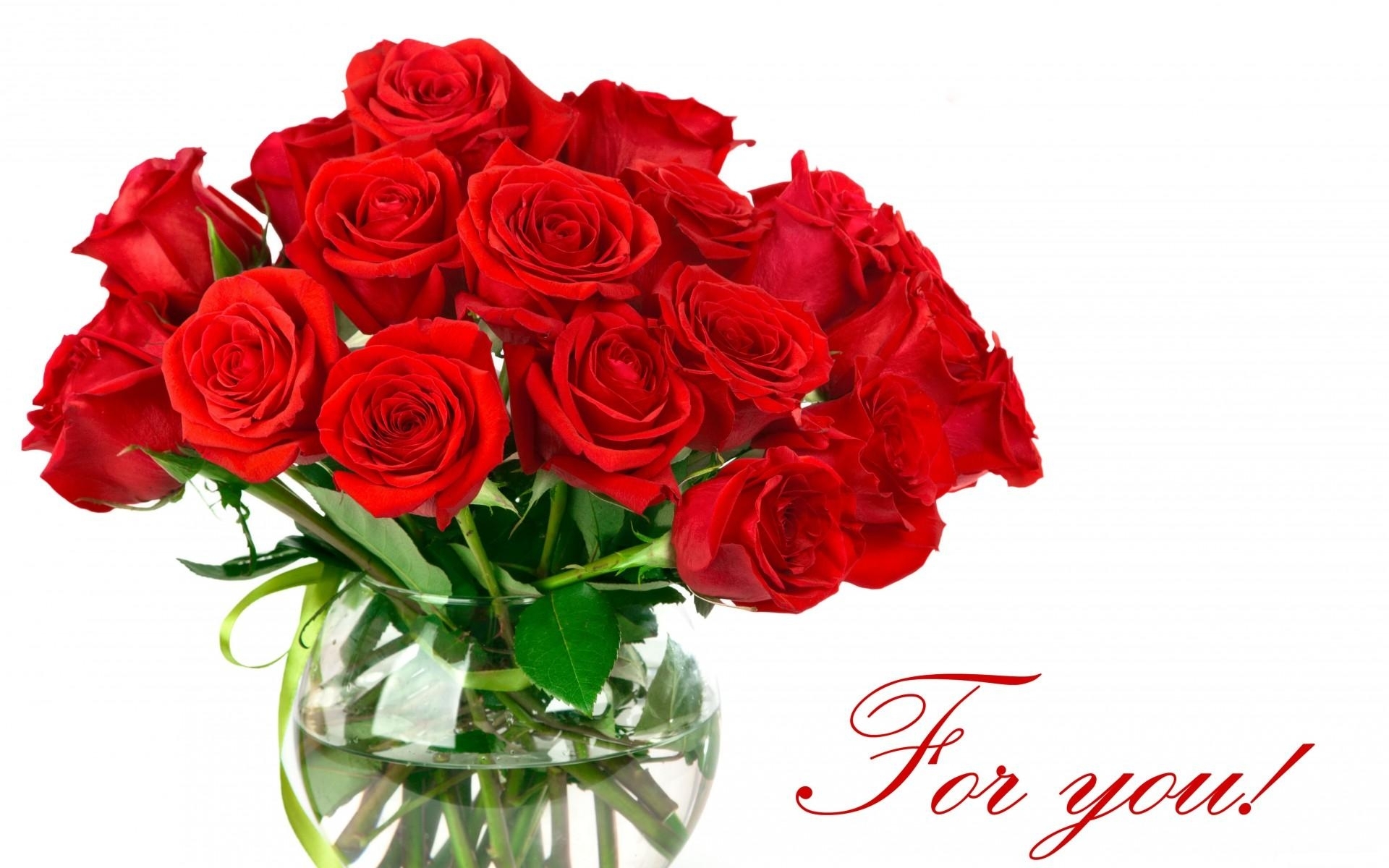 Red Rose Flowers Images 8 HD Wallpapers